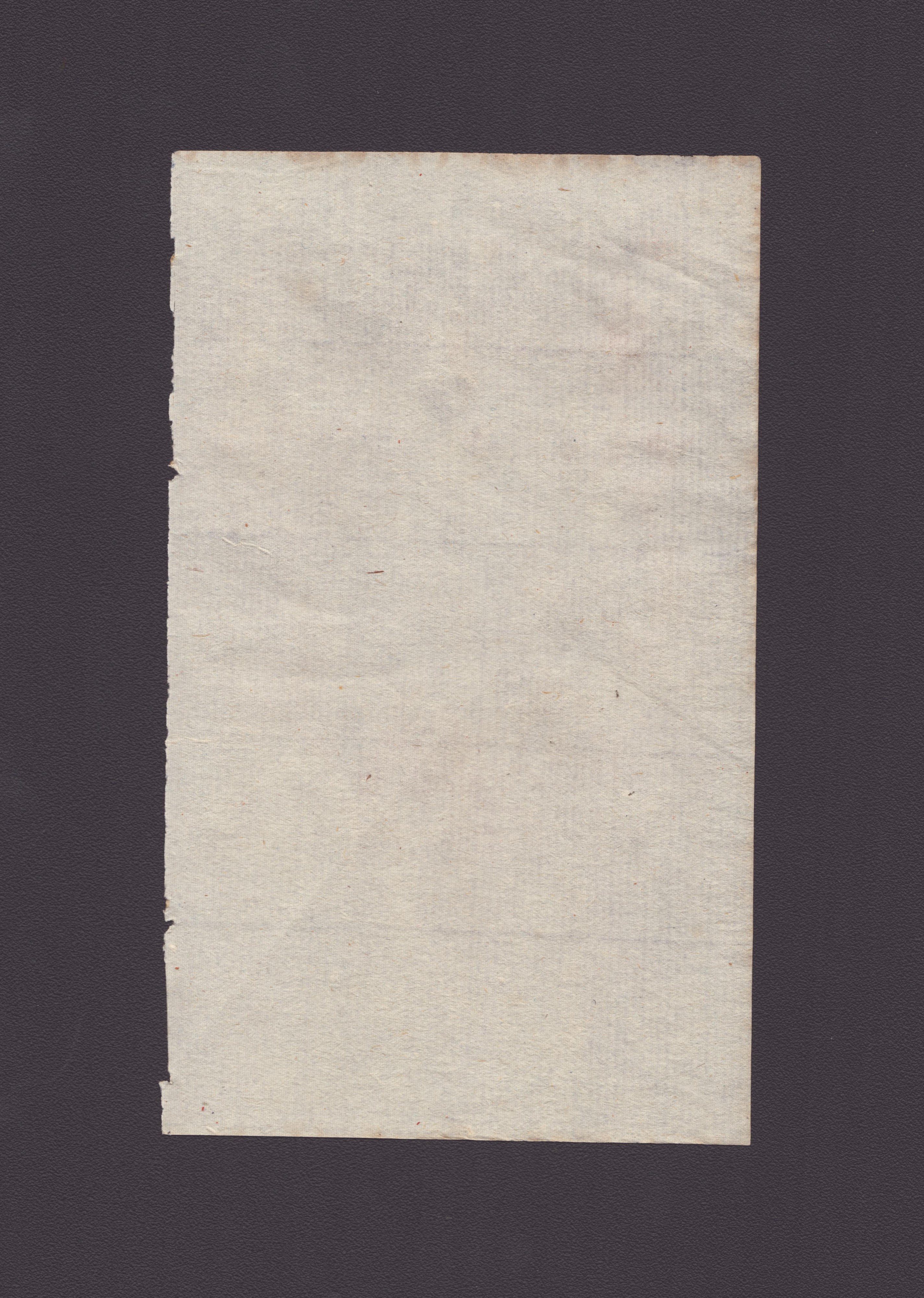 Testa di Anziano Barbuto