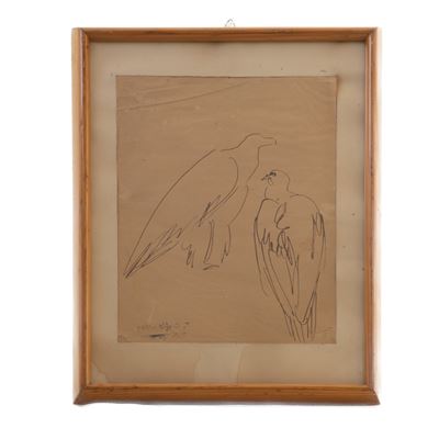 Coppia di Rapaci, Disegno Ad Inchiostro su Carta