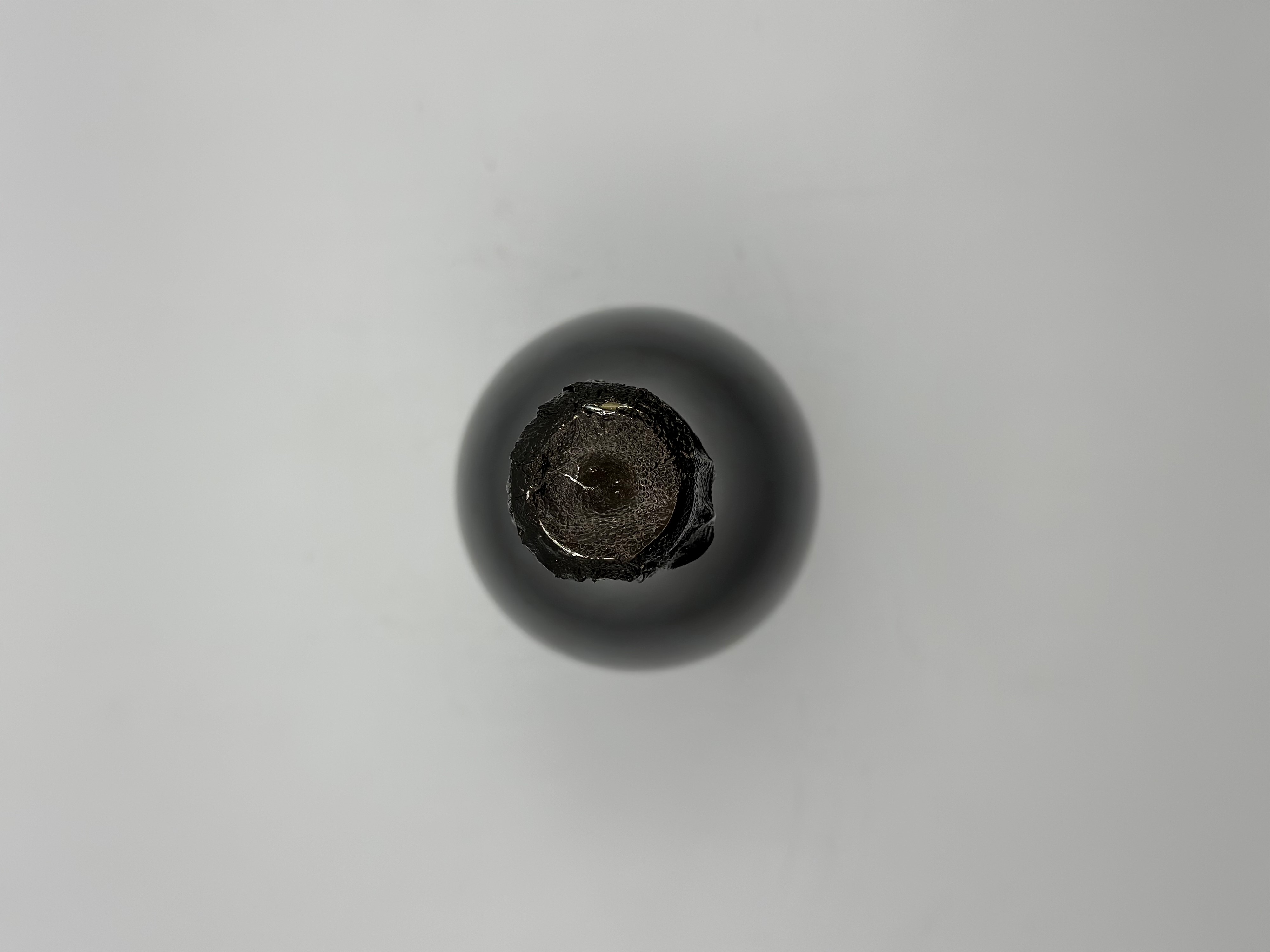 Moët & Chandon, Dom Pérignon Brut Vintage 1995, 1995