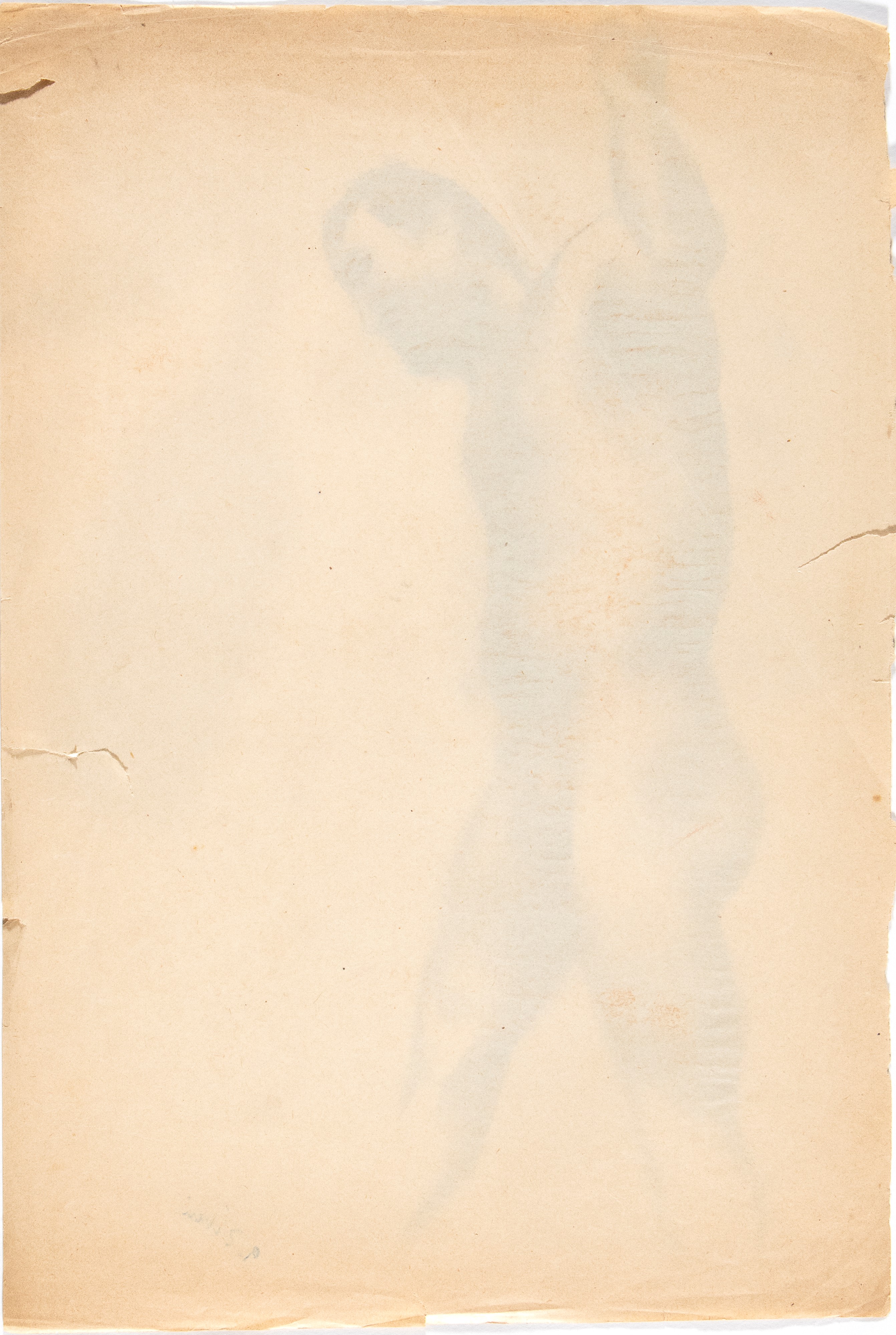Alberto Ziveri - Lotto di Due Disegni di Nudo