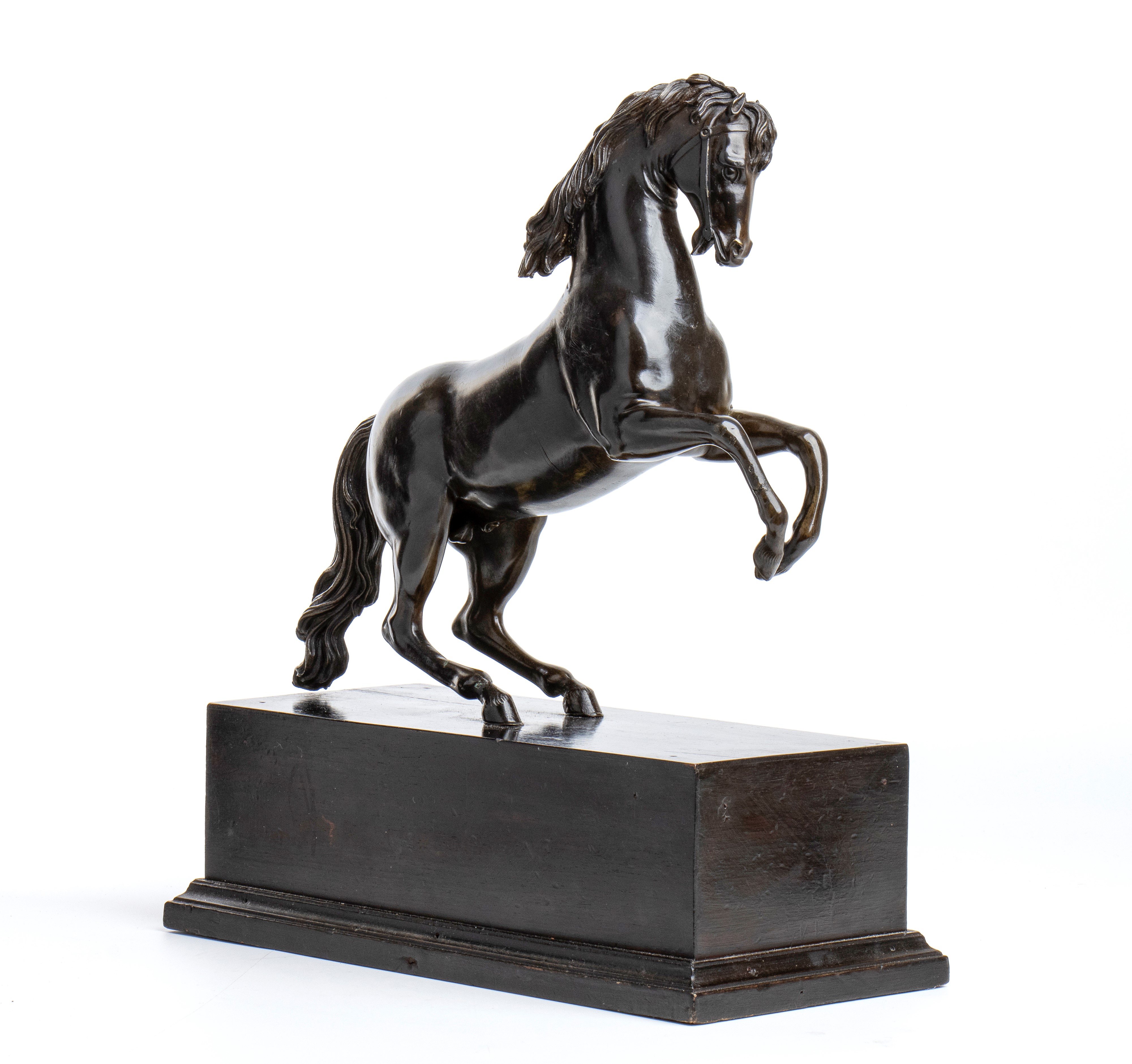 Cavallo Rampante