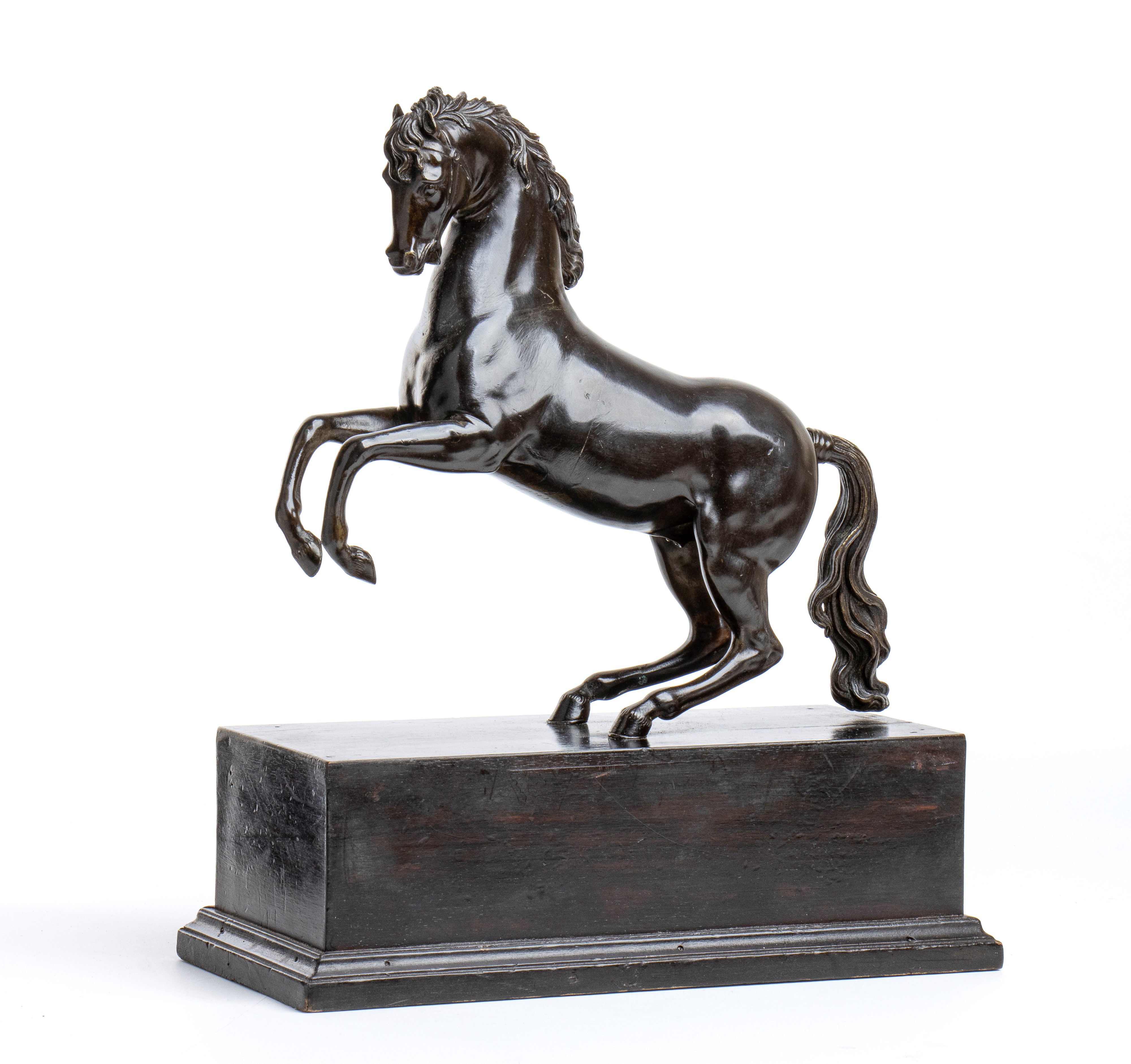Cavallo Rampante