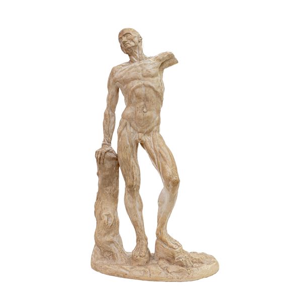 Studio di nudo anatomico maschile