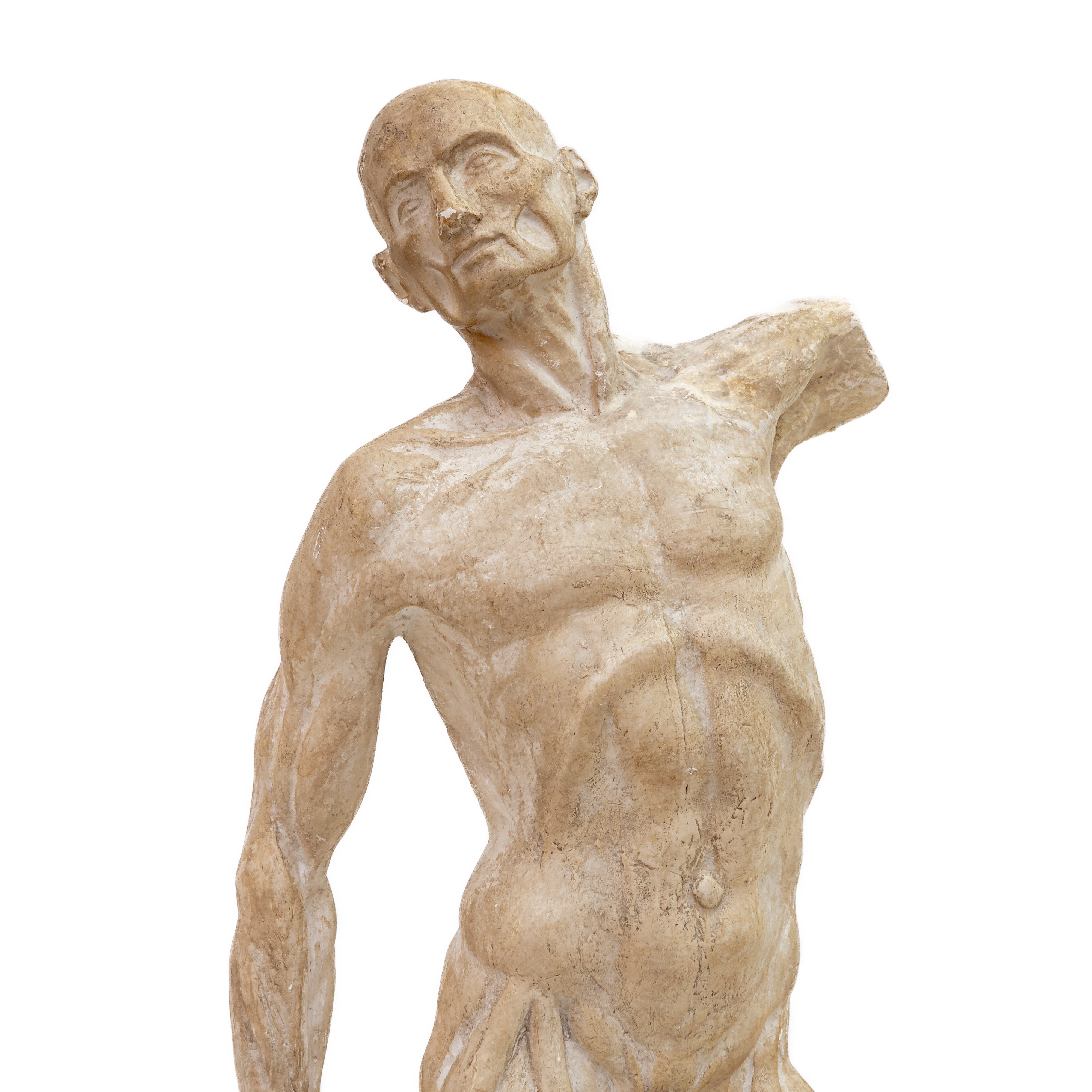 Studio di Nudo Anatomico Maschile