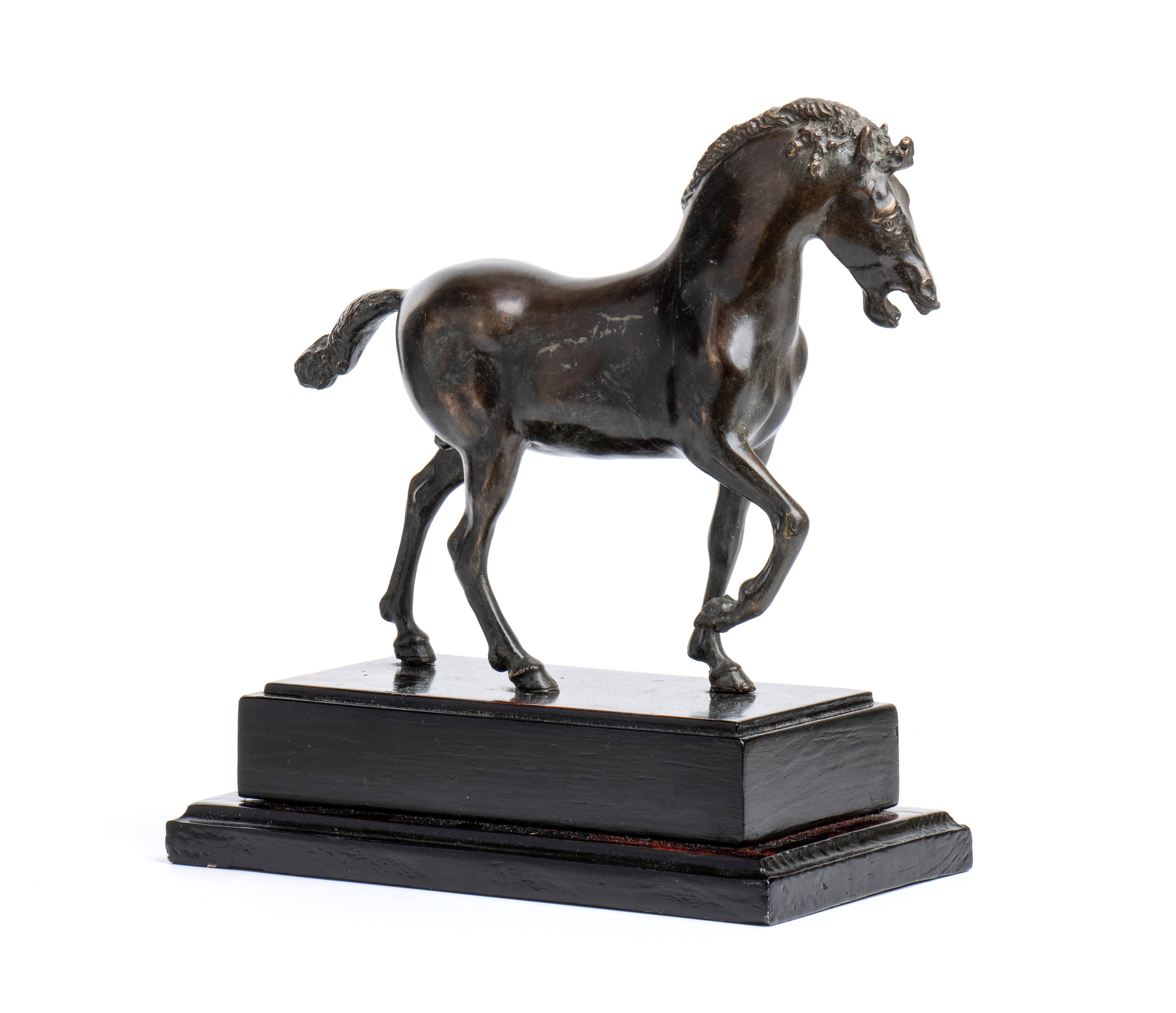 Cavallo