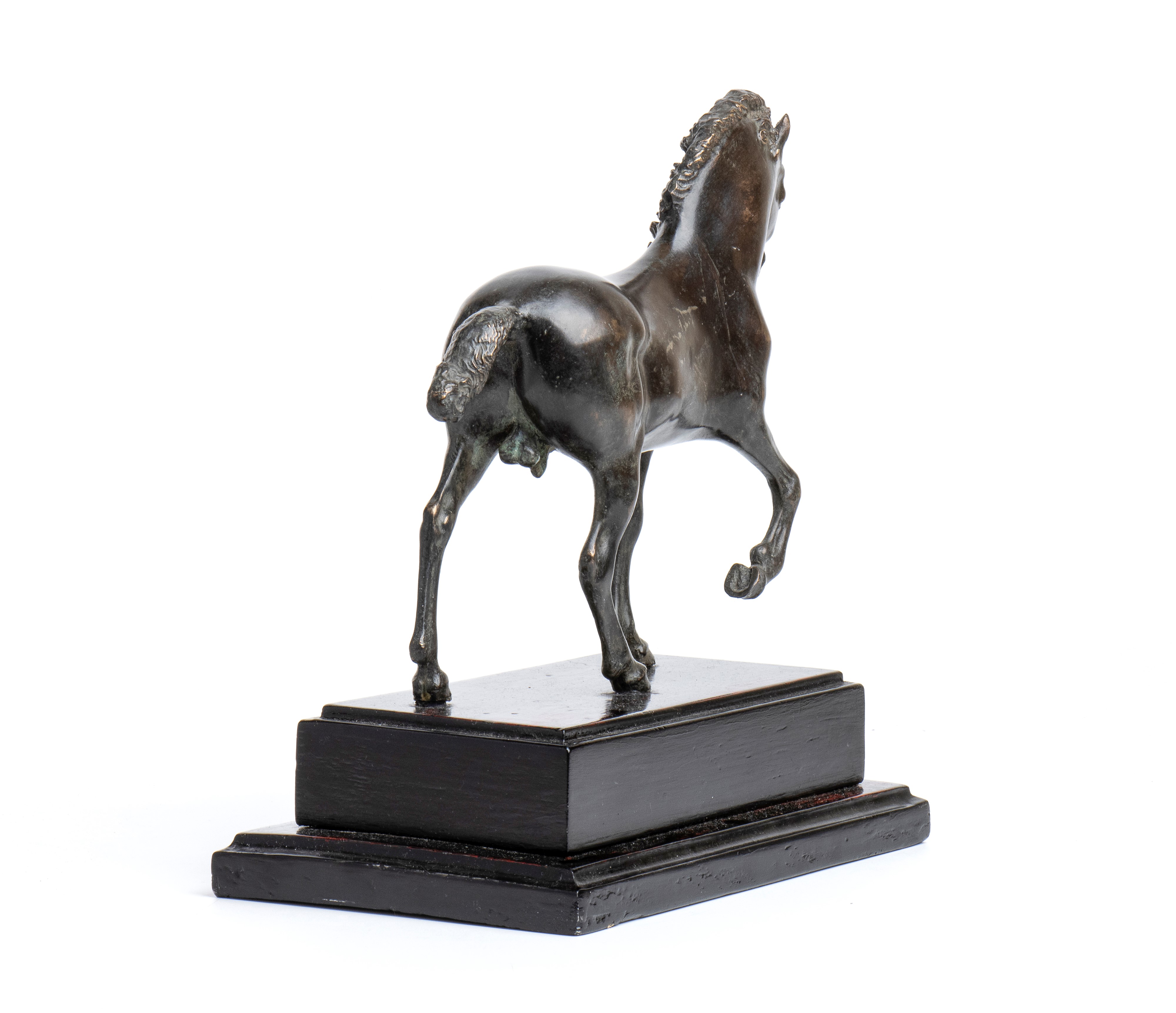 Cavallo
