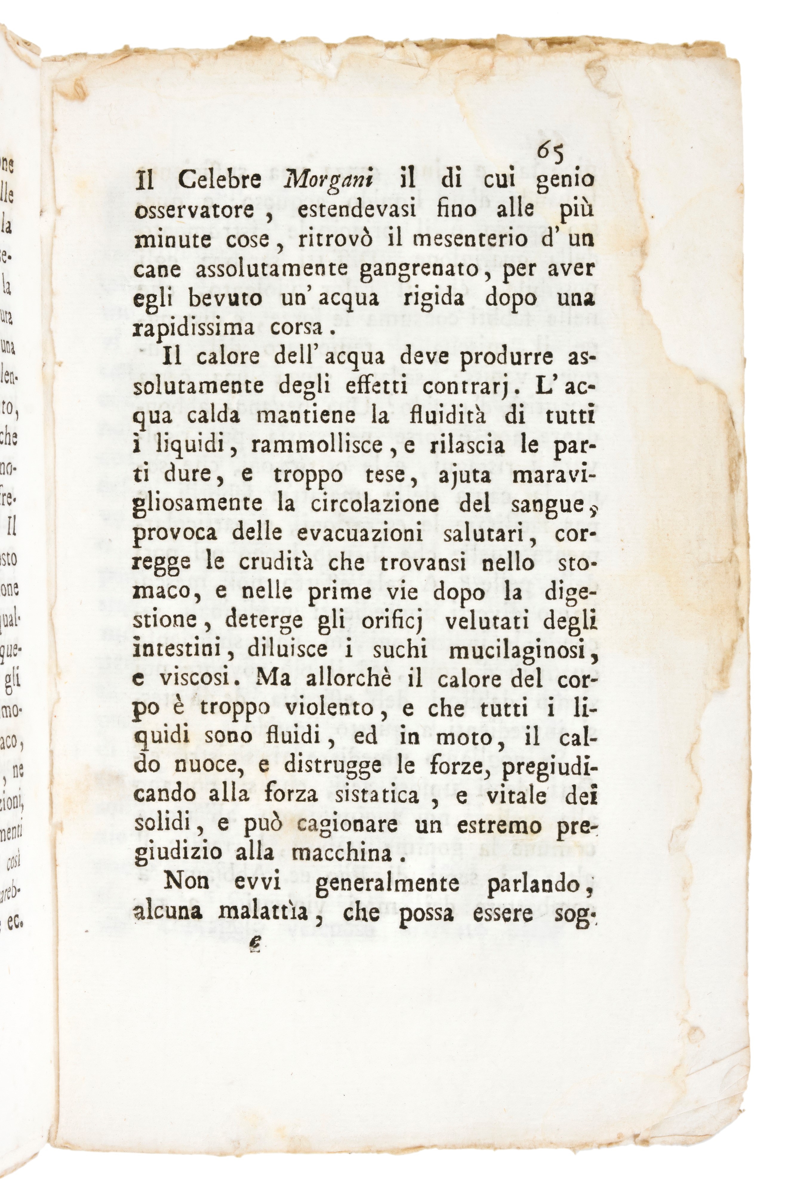 [Editto] Capitolazione della Resa di Mantova, Castellucchio Luglio 1799. Incluso con : Avvertimen...