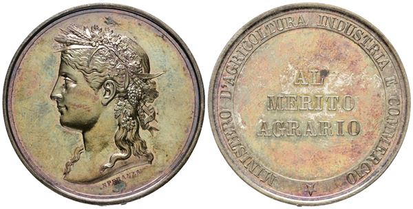 REGNO D'ITALIA. Medaglia Ministero d'Agricoltura e Commercio al merito agrario - Opus: Speranza - AG (g 22,65 - Ø 40 mm). Fondi specchio. In Astuccio originale