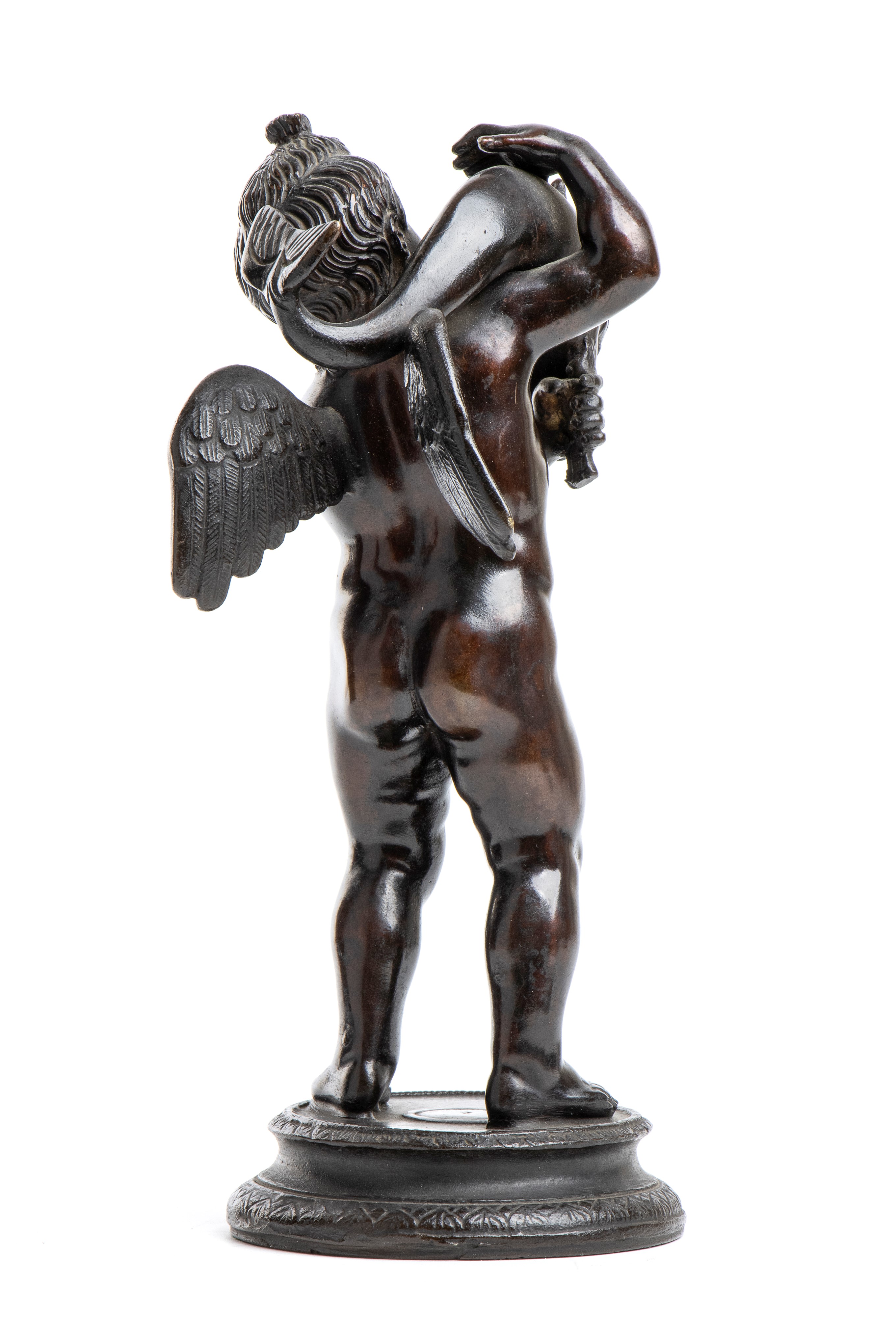 Putto con Delfino