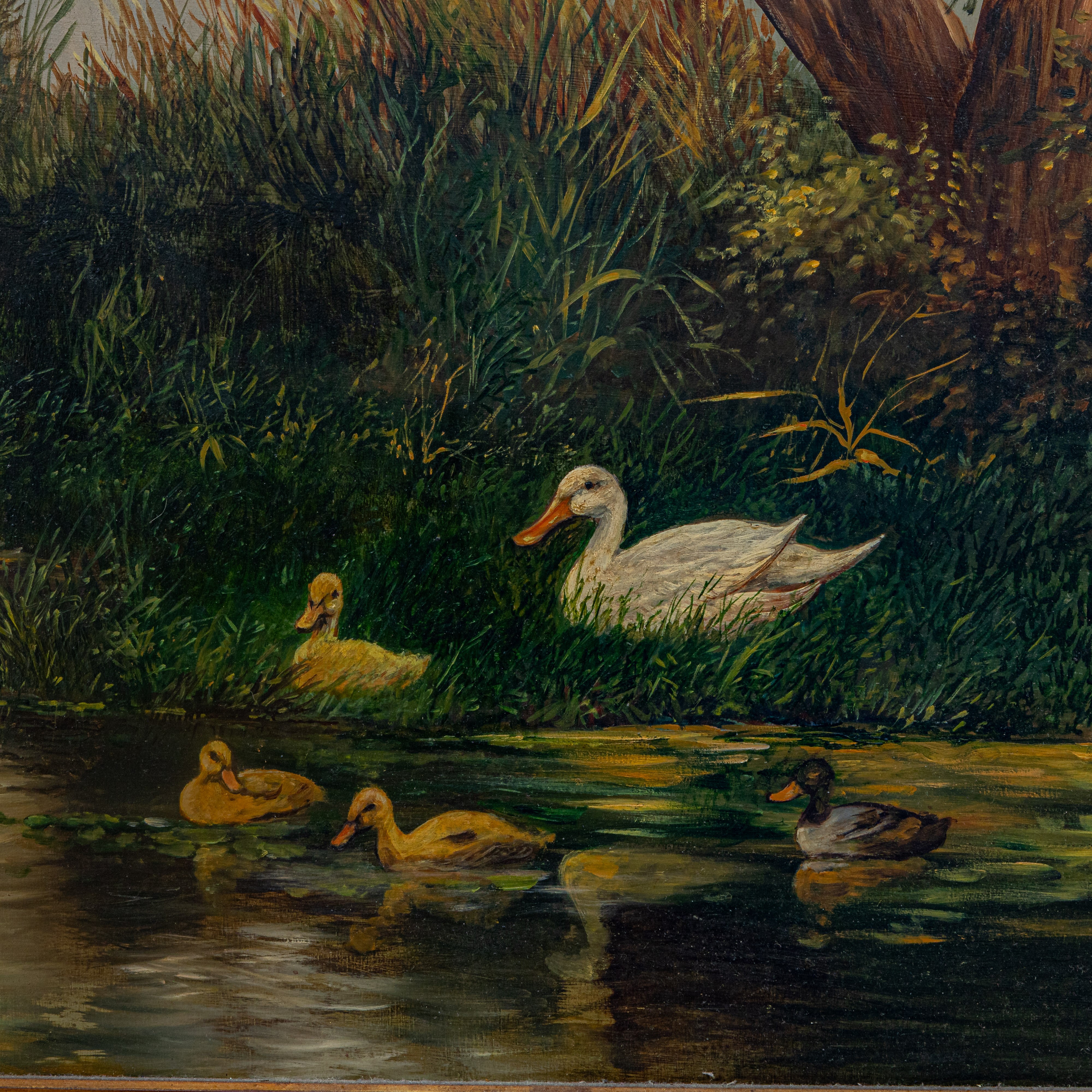 Scorcio di Fiume con Anatre ed Alberi