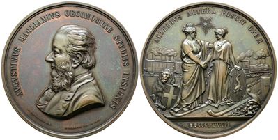 Agostino Magliani, Medaglia commemorativa 1882, Ministro delle Finanze e Senatore