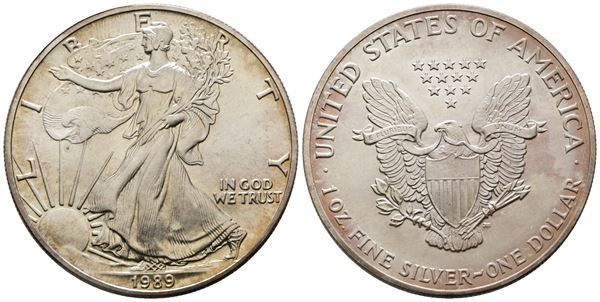 USA. Oncia da 1 dollaro 1989. Ag (31,63 g; 40,64 mm) KM 273