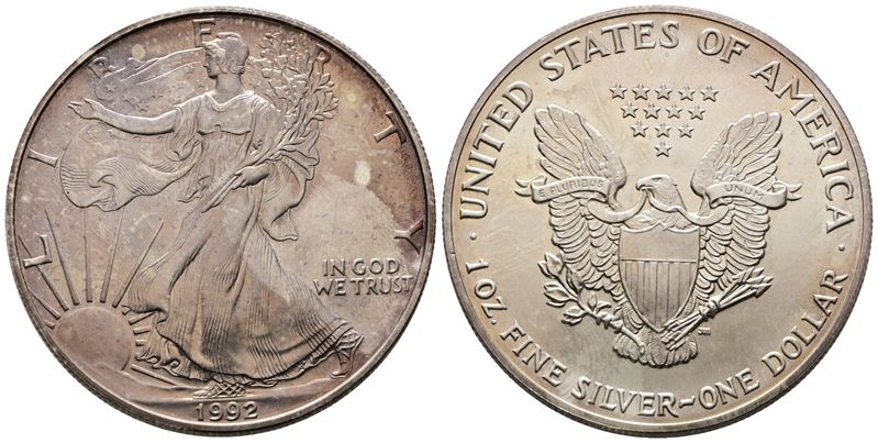 USA. Oncia da 1 dollaro 1992. Ag (31,29; 40,62 mm) KM 273