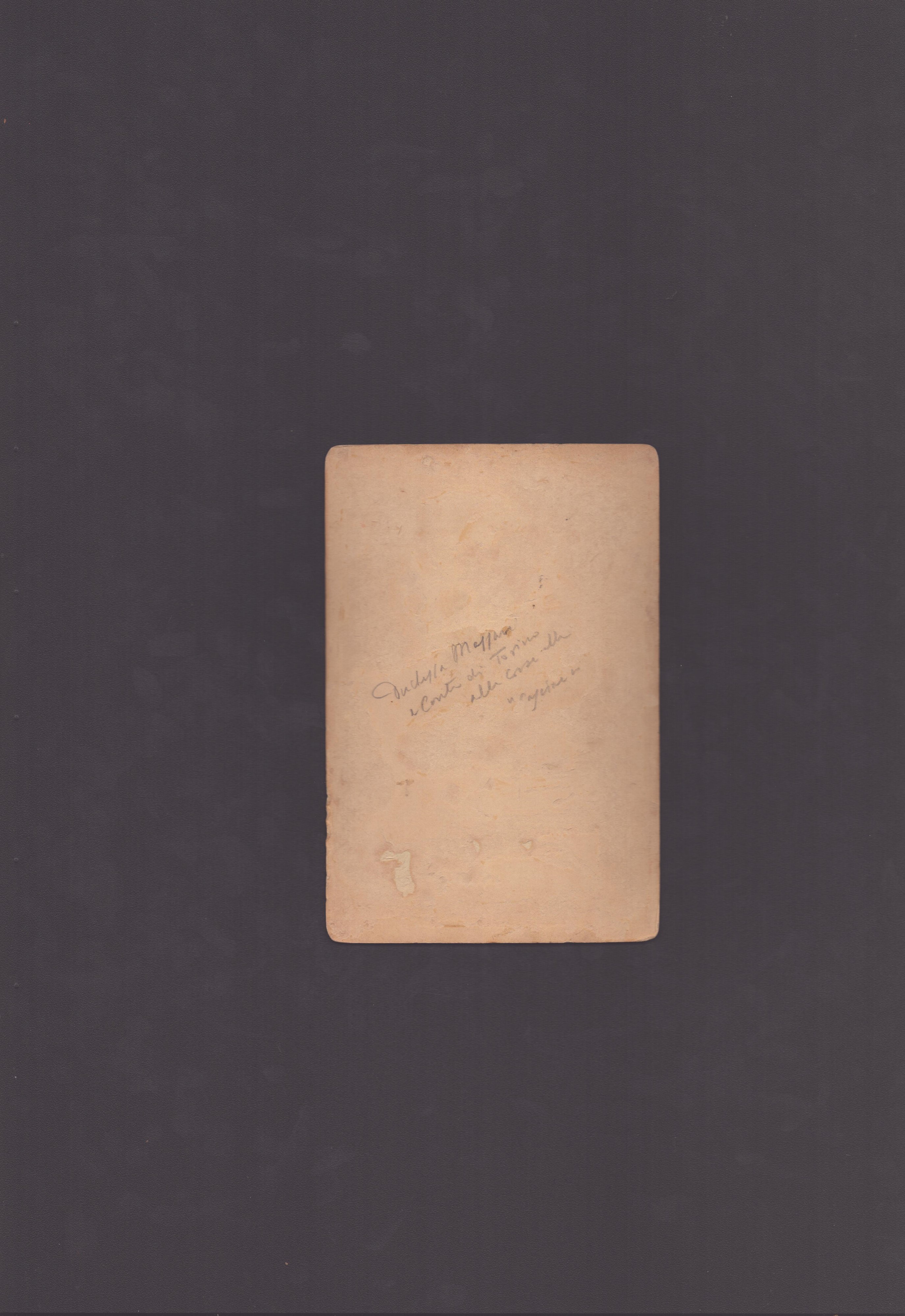 Ritratto Familiare del Conte di Torino, 1900 Circa