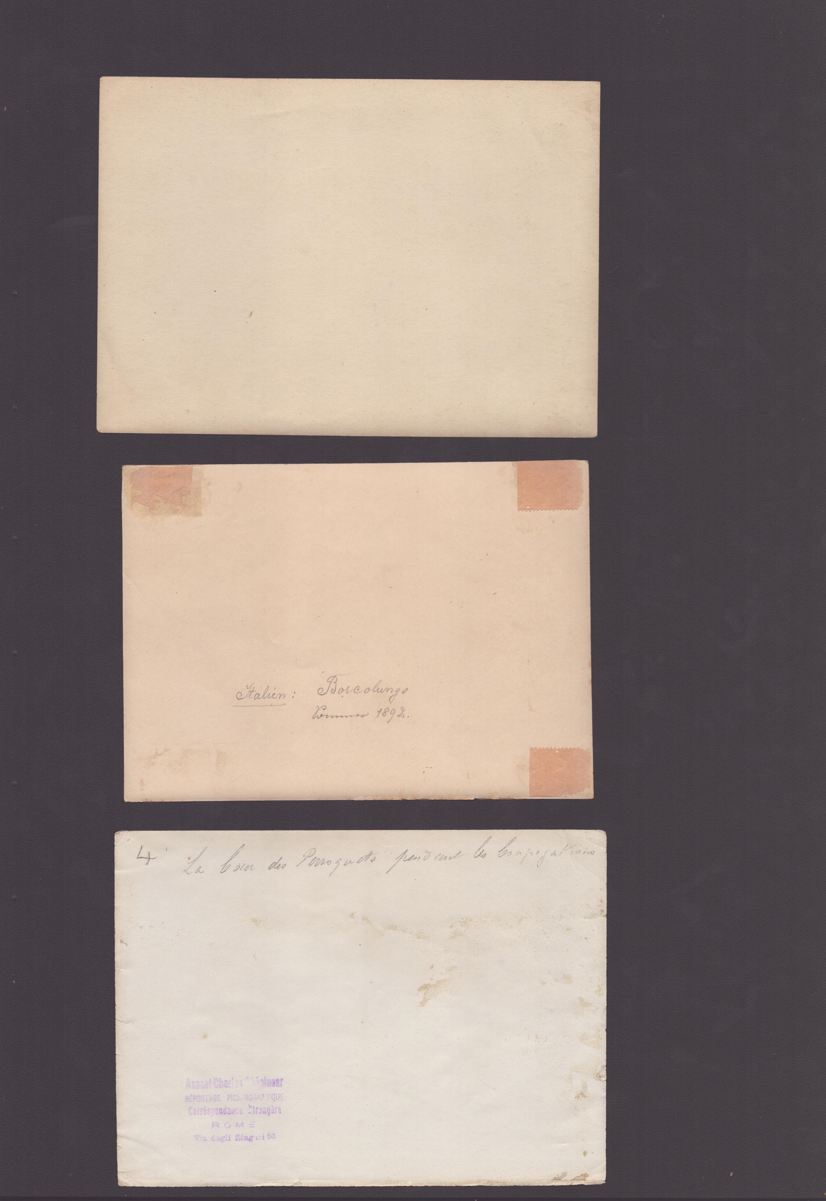 Lotto di Interessanti Stampe da Studio 1890-1900