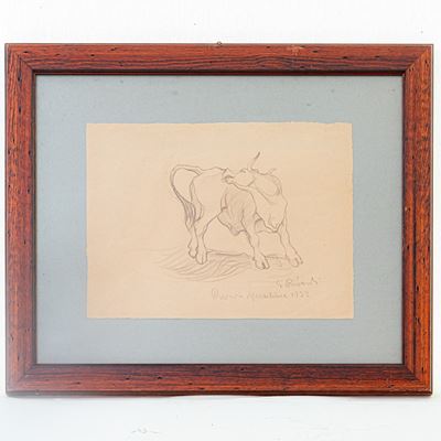 Mucca