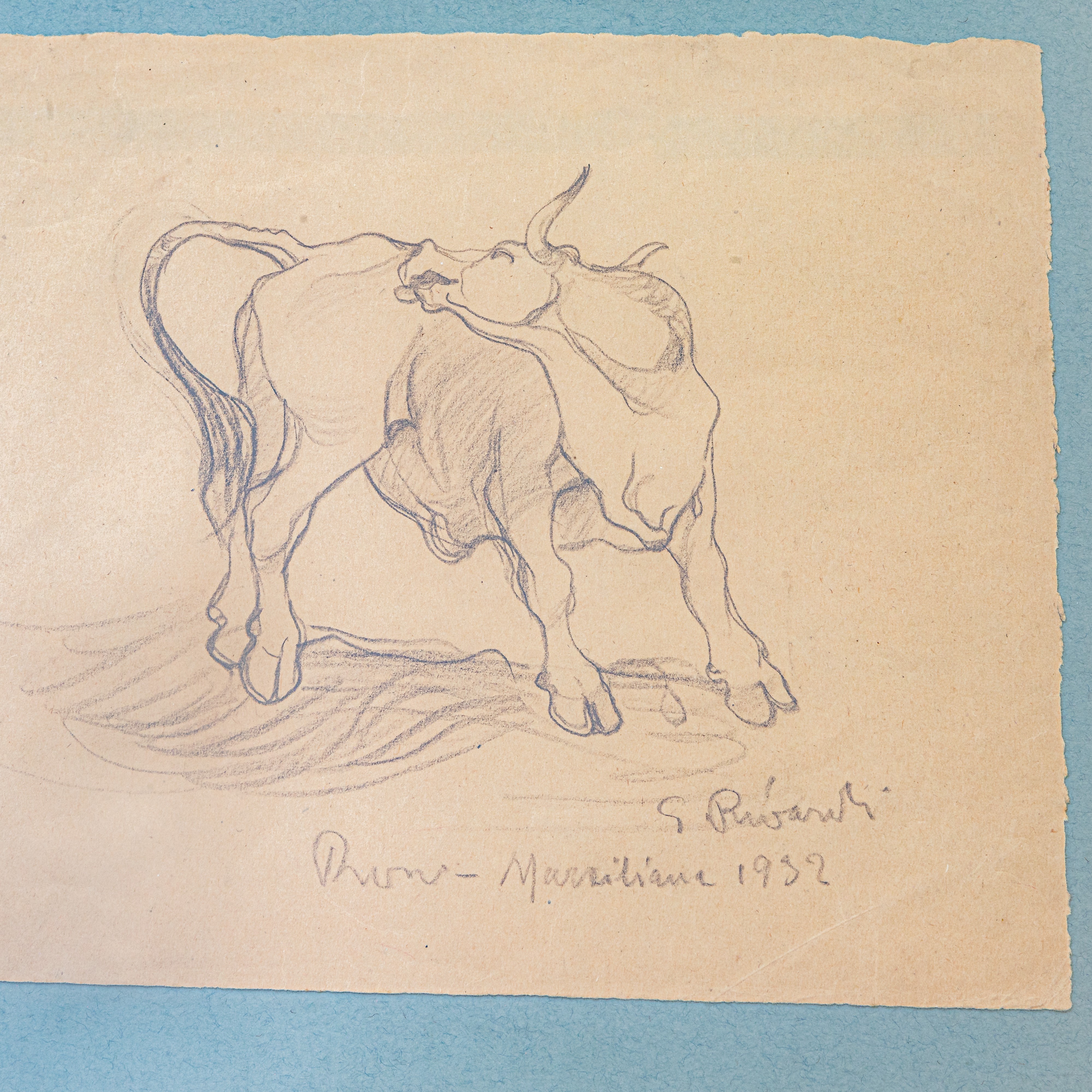 Giuseppe Rivaroli - Mucca