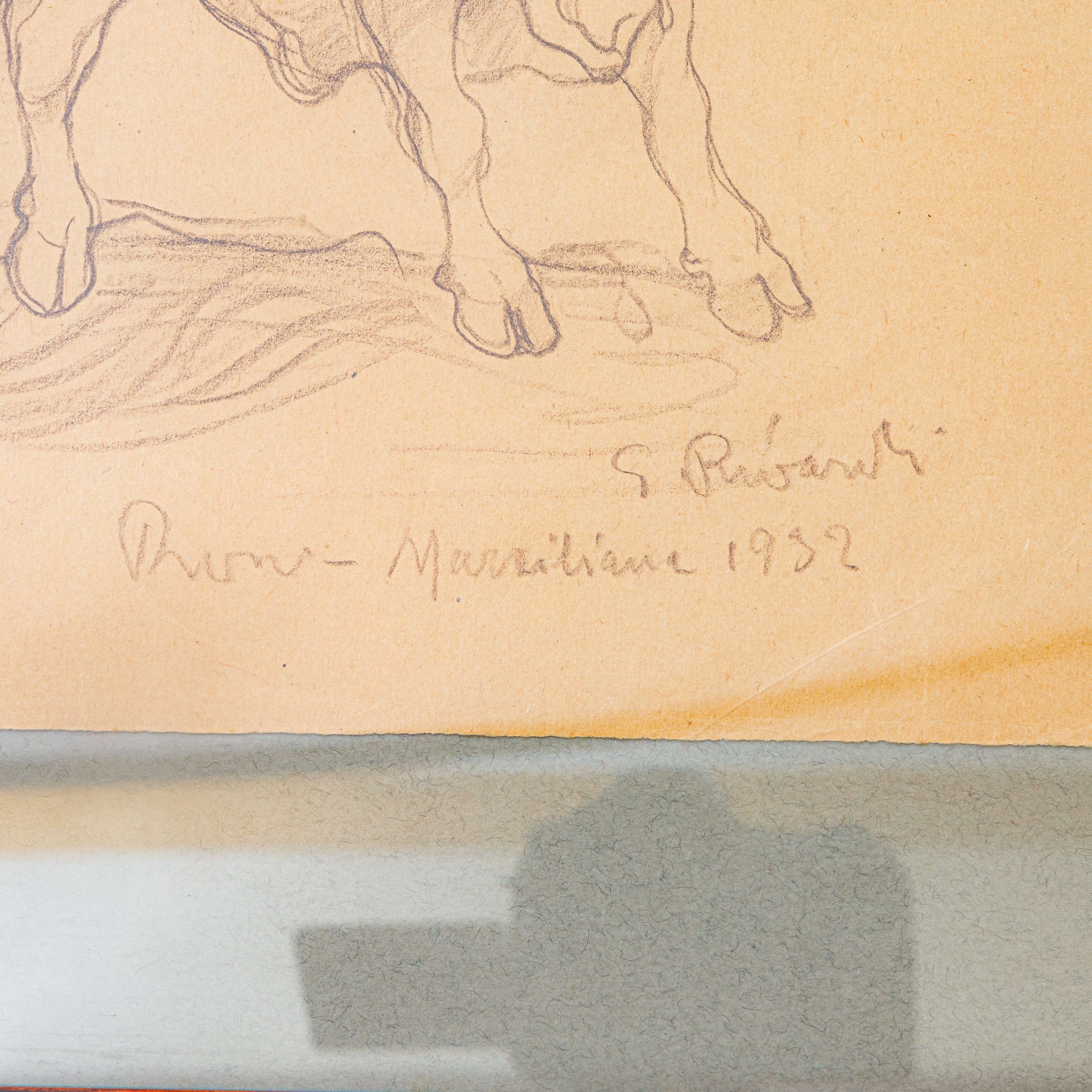 Giuseppe Rivaroli - Mucca