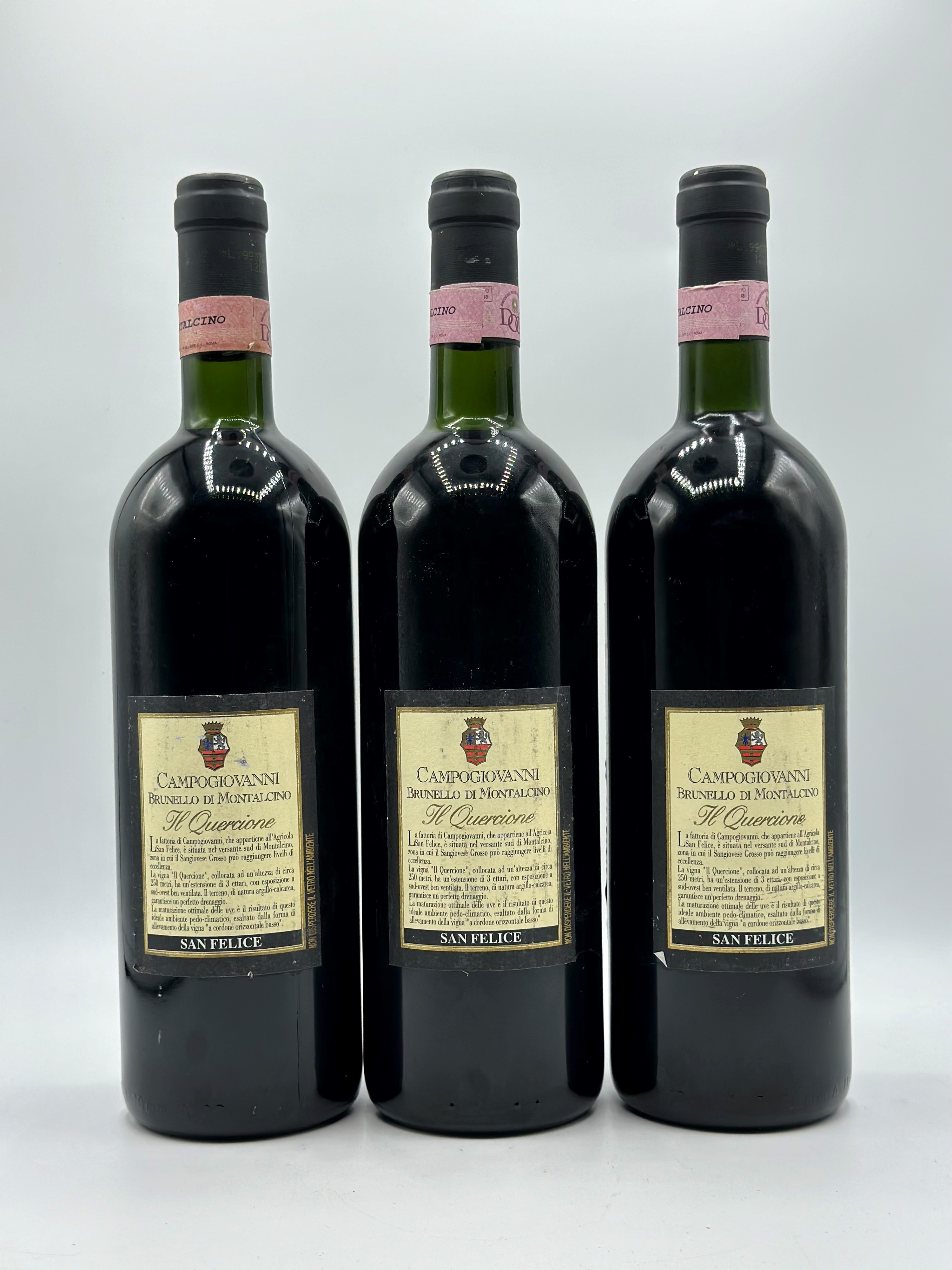 Campogiovanni, Il Quercione, 1995