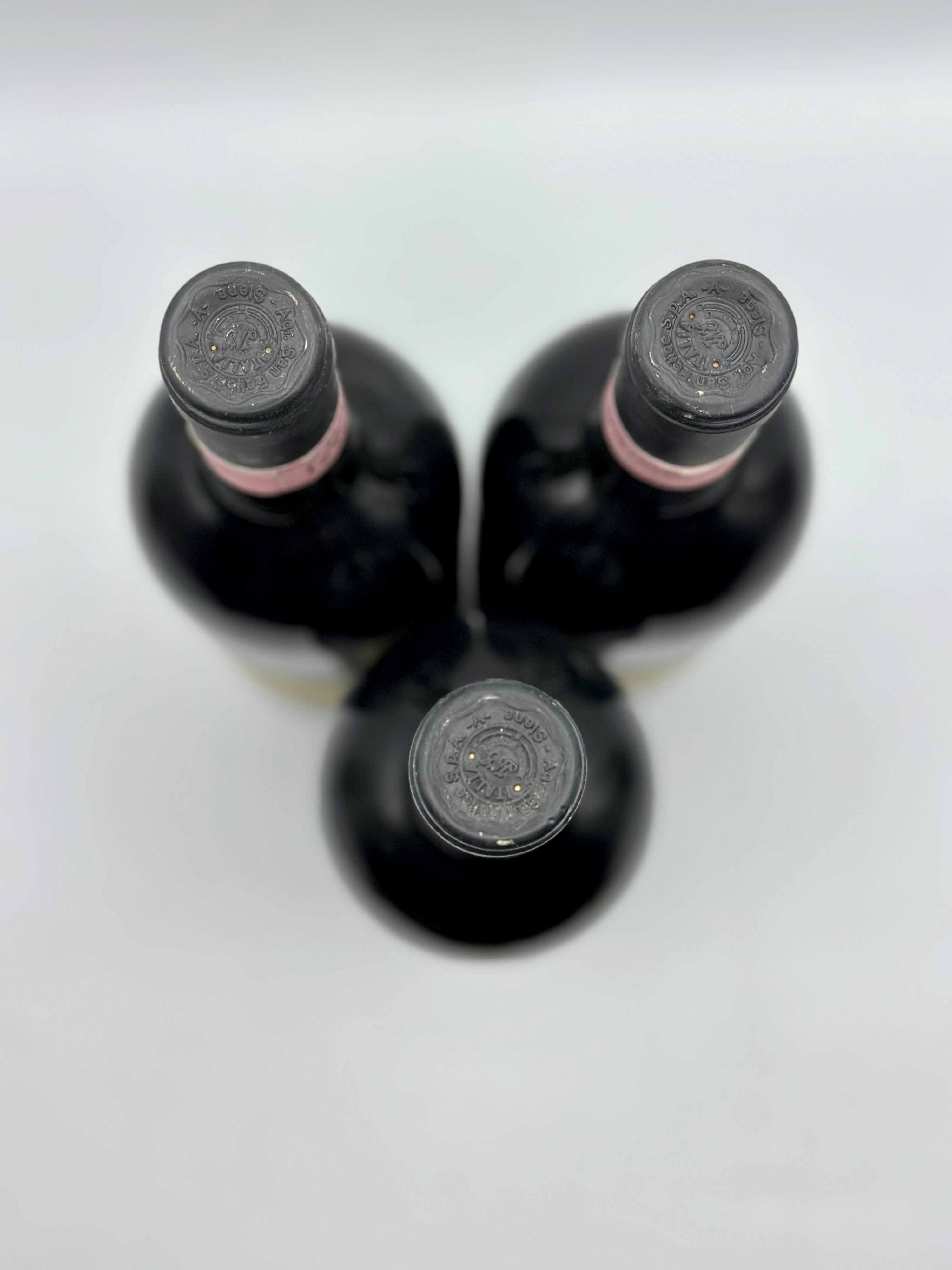 Campogiovanni, Il Quercione, 1995