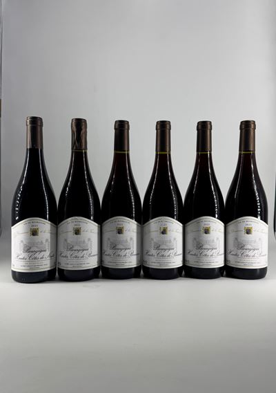 Borgogna, Hautes Côtes de Beaune – Les Domaines de La Tassée d'Or 2023, 6 bottiglie