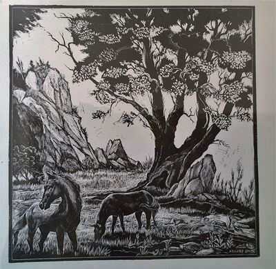 Paesaggio Sardo con Cavalli