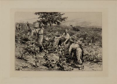 La Vendange