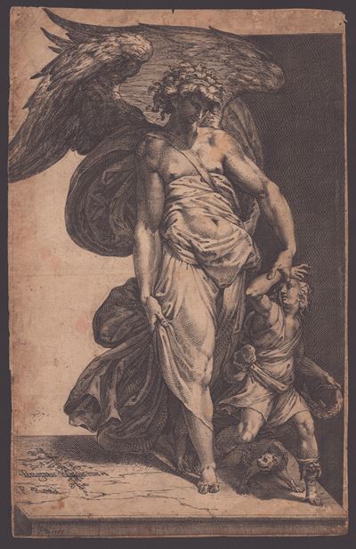 L'arcangelo Raffaele Guida Tobia