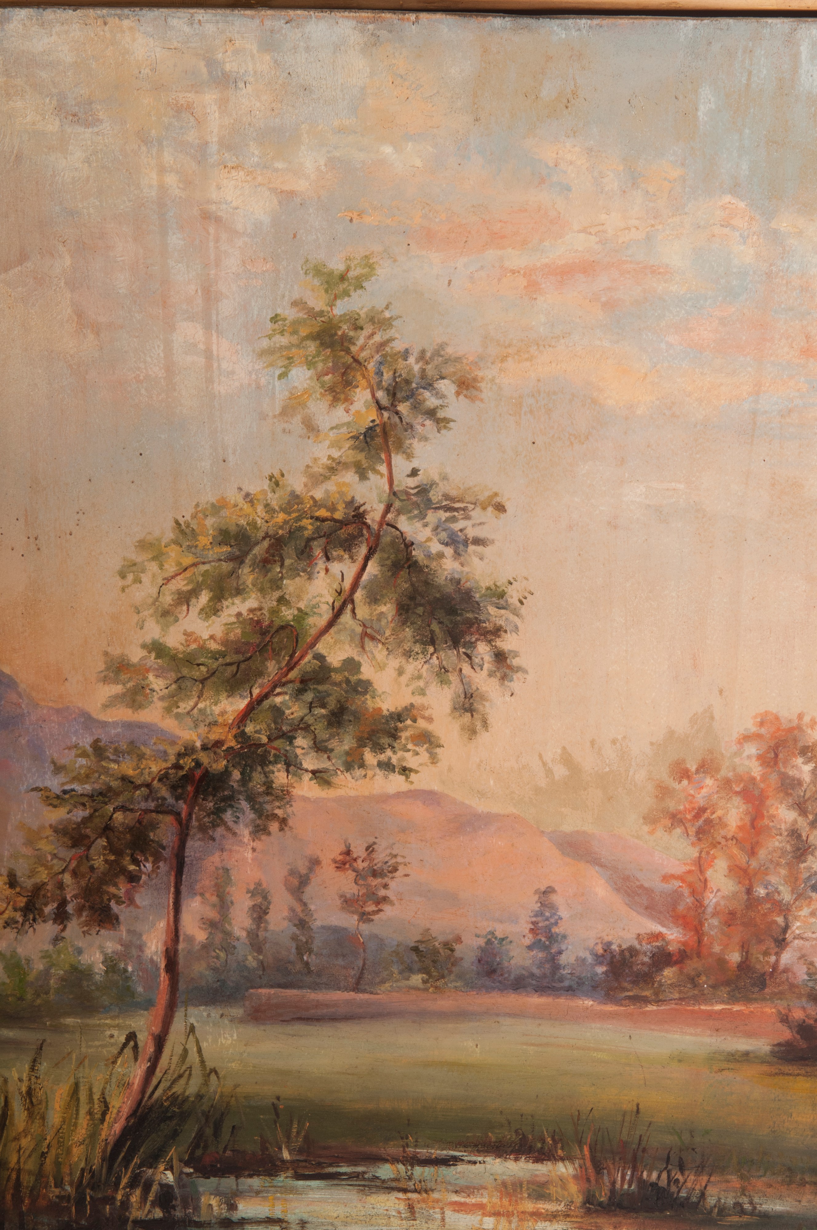 Scorcio di Palude con Alberi e Colline