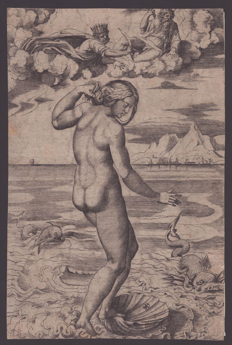Marco Dente Detto Marco da Ravenna - Nascita di Venere