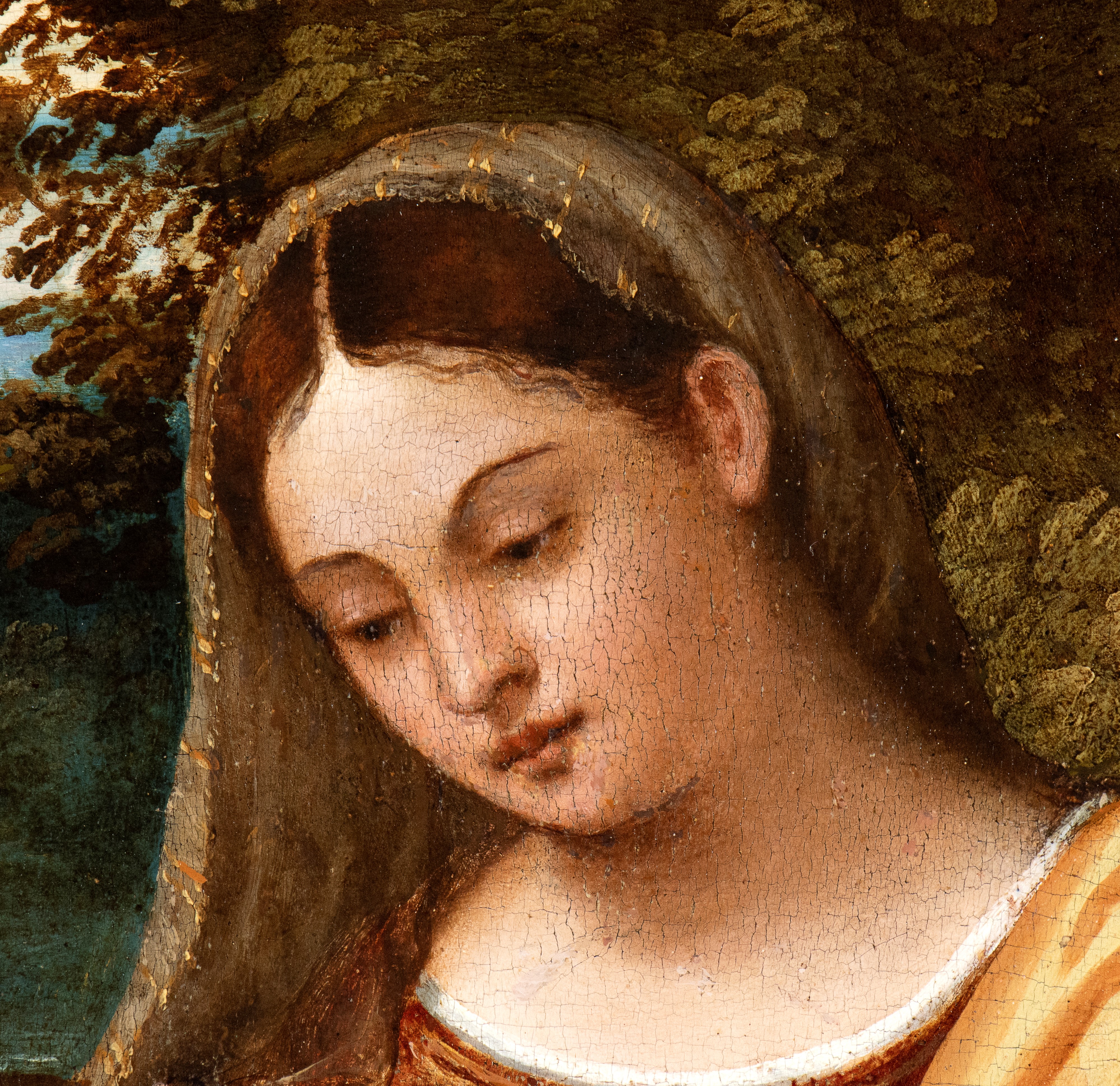 Tiziano Vecellio - Madonna con Bambino e San Rocco