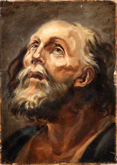 Testa di Vecchio