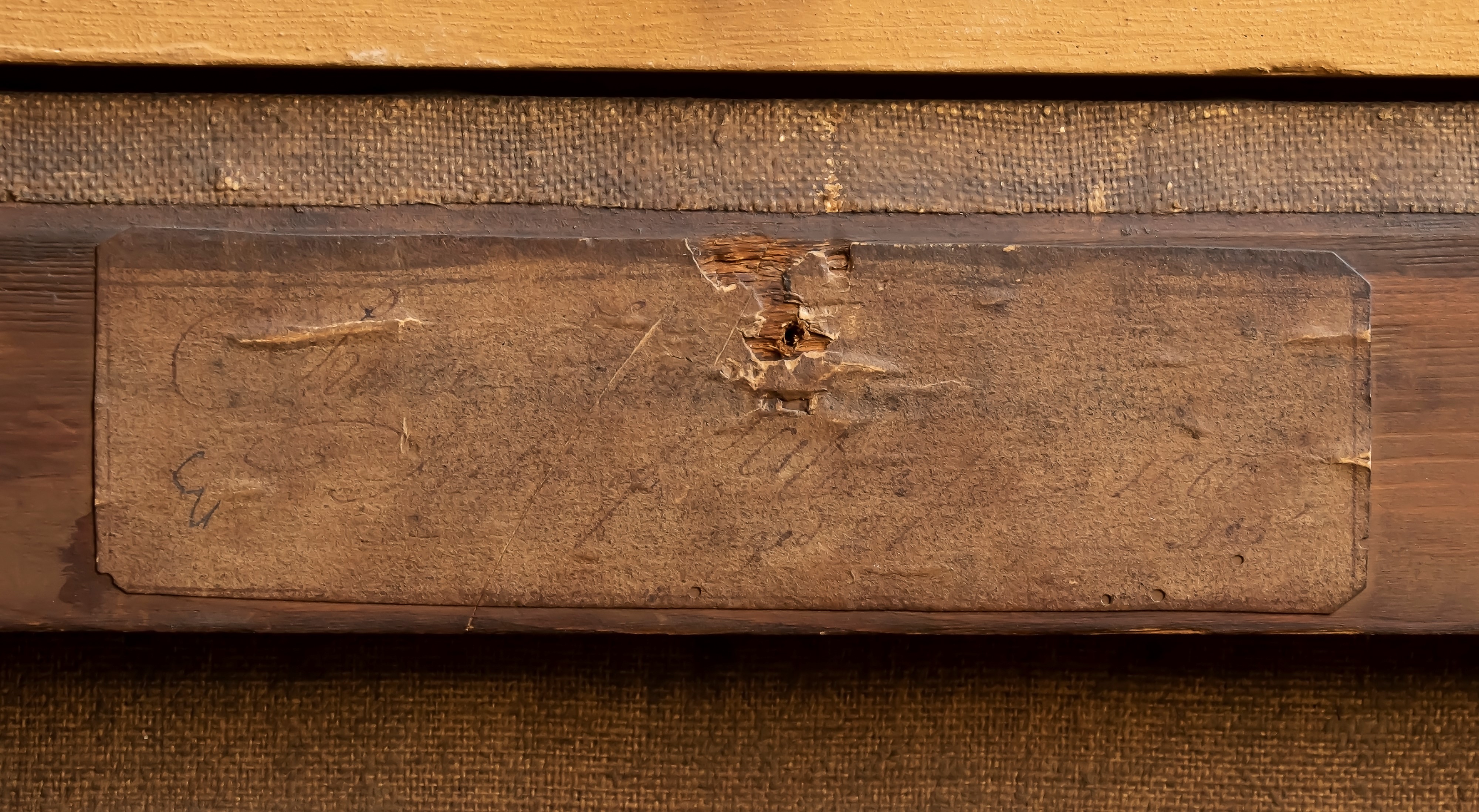 Ritratto di giovane gentiluomo