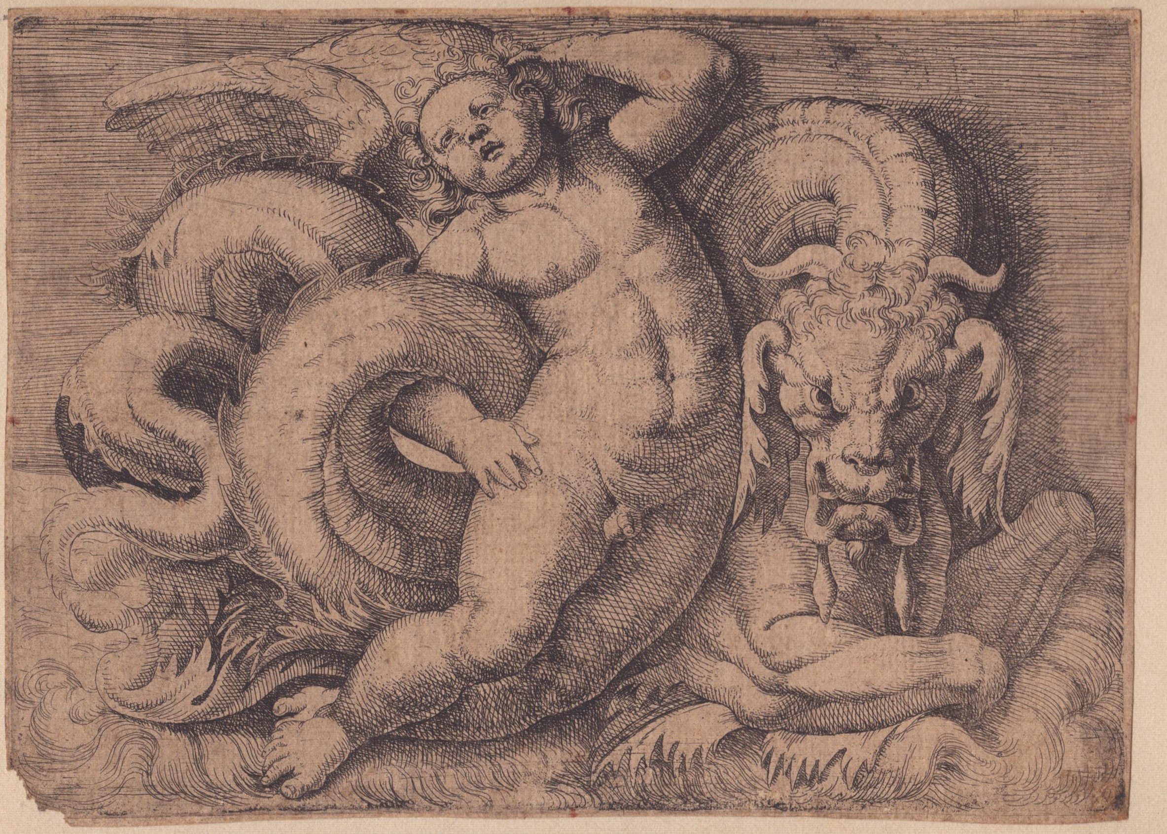 Giovanni Andrea Maglioli - Putto con un Serpente Marino | Due Putti che Cavalcano un Mostro Marin...