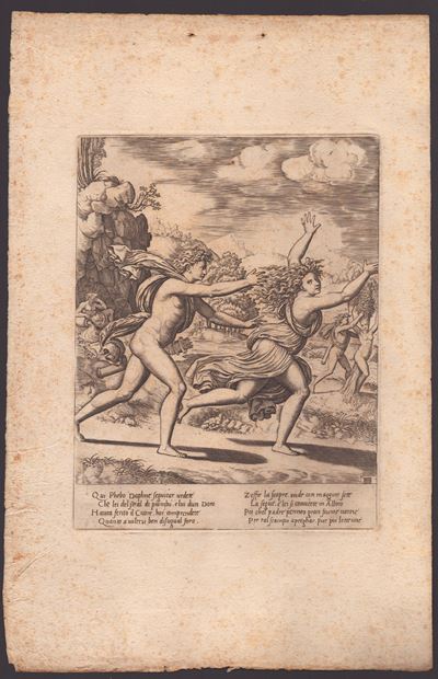 Apollo e Dafne