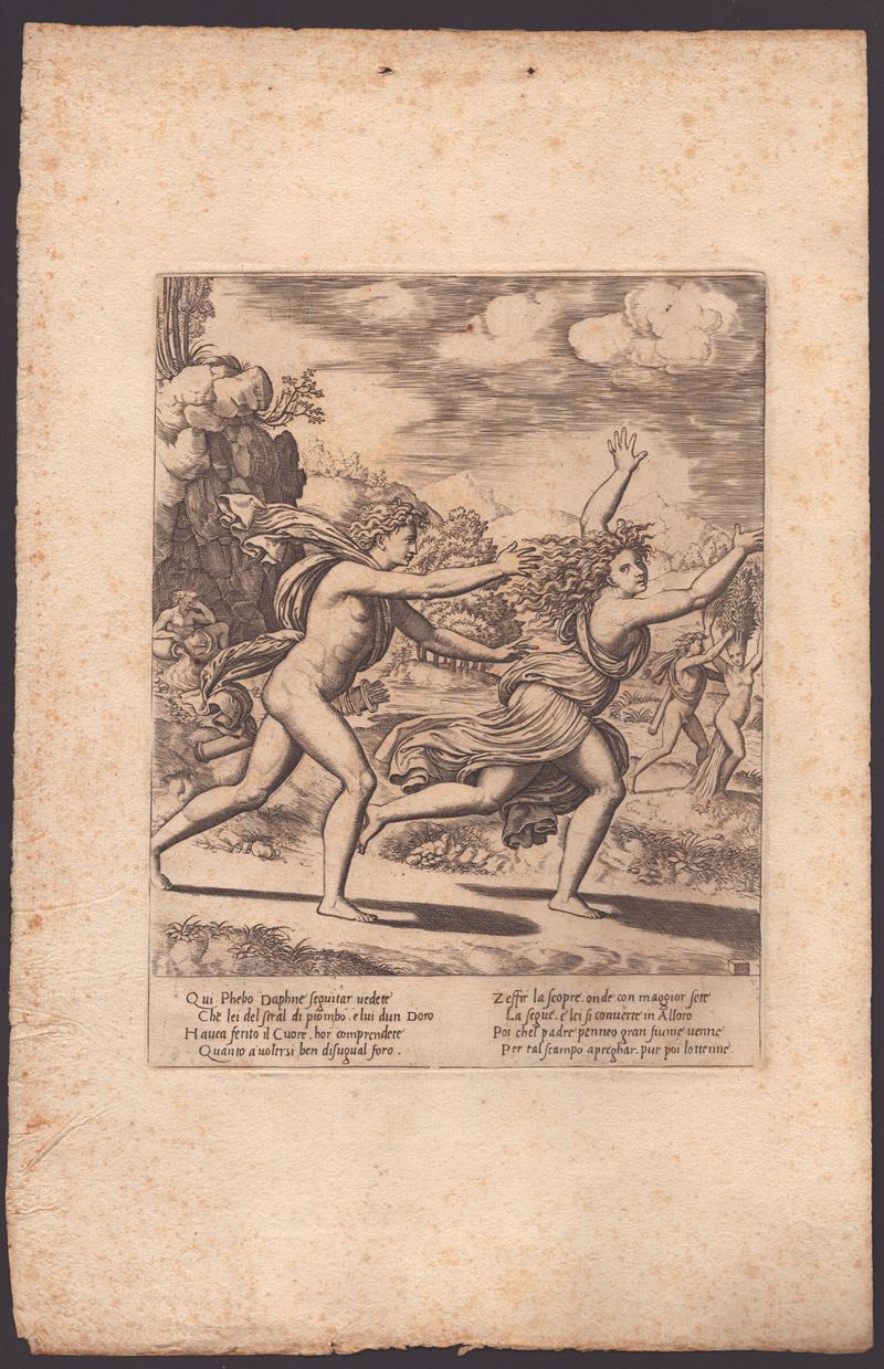 Maestro del Dado (1530-1560 Fl.) - Apollo e Dafne