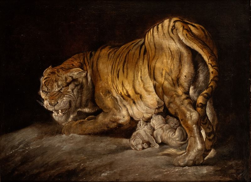 Peter Paul Rubens - Tigre con Cuccioli