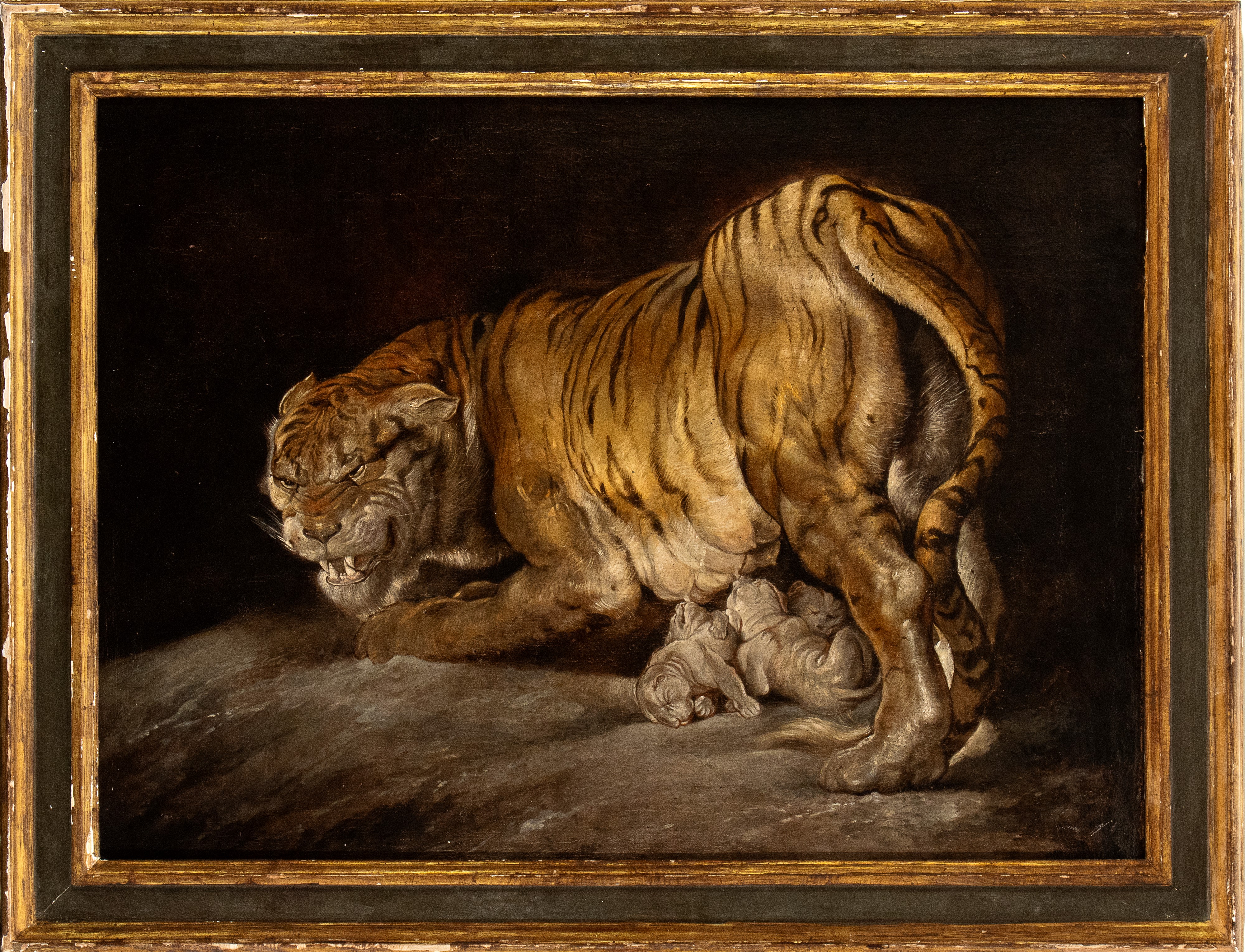 Peter Paul Rubens - Tigre con Cuccioli