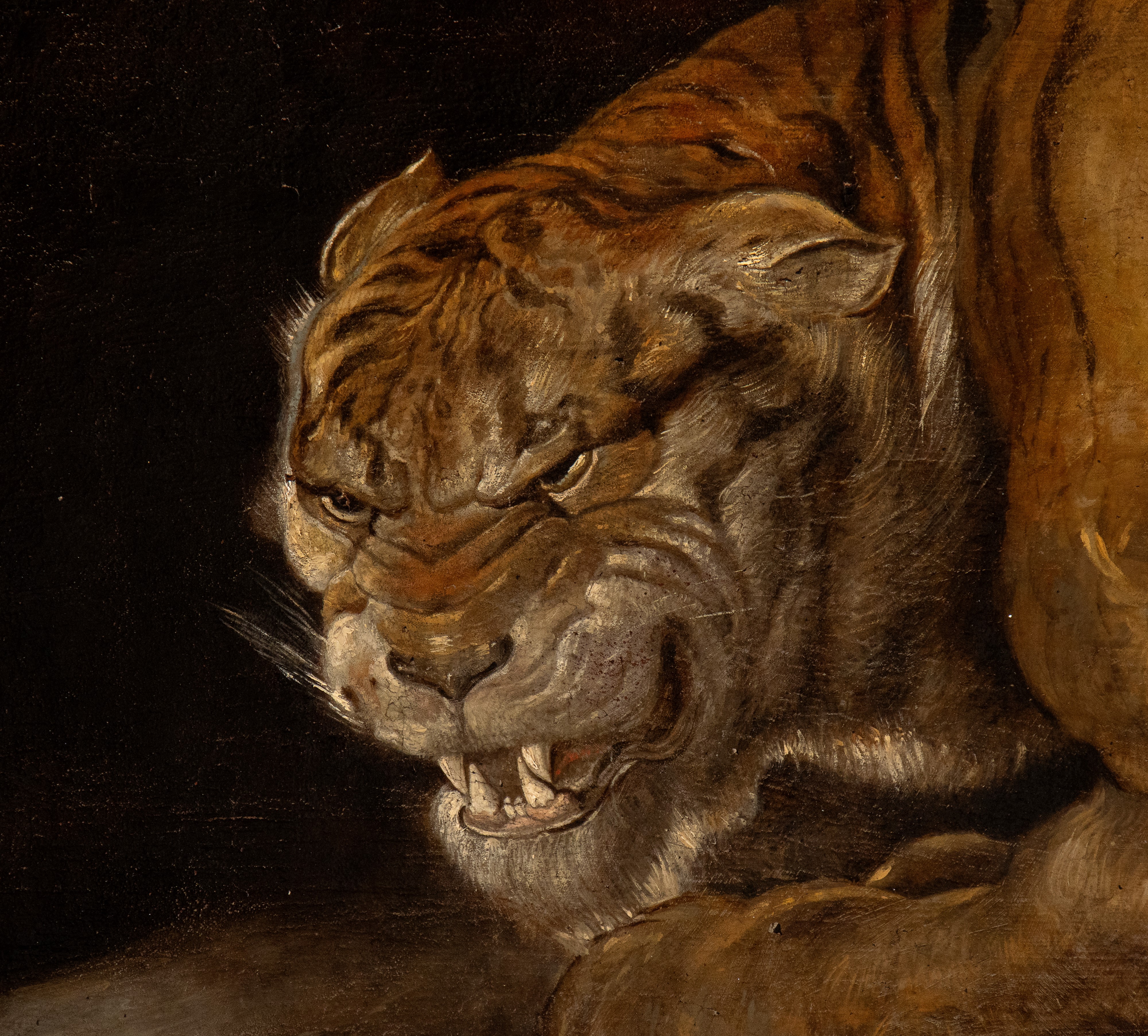Peter Paul Rubens - Tigre con Cuccioli