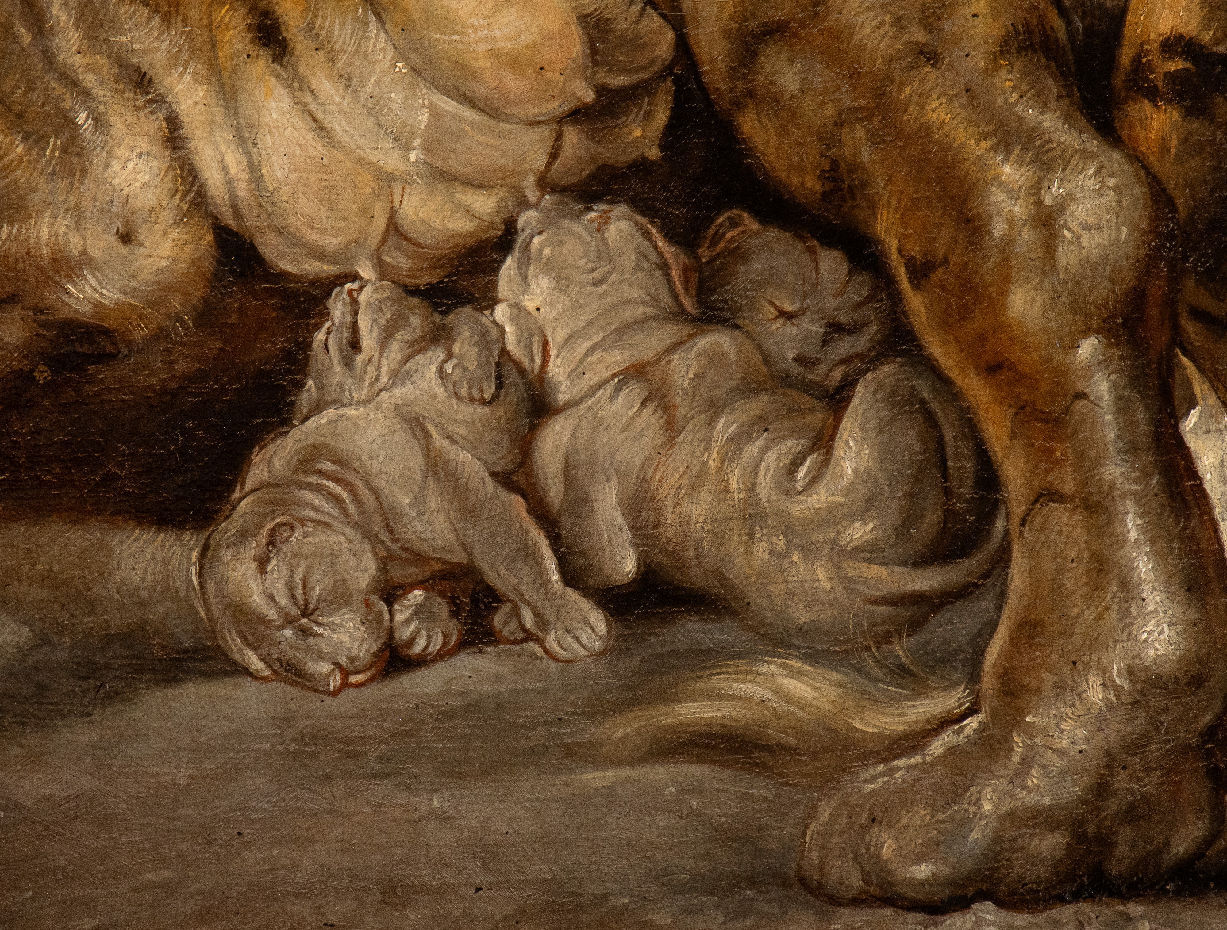 Peter Paul Rubens - Tigre con Cuccioli