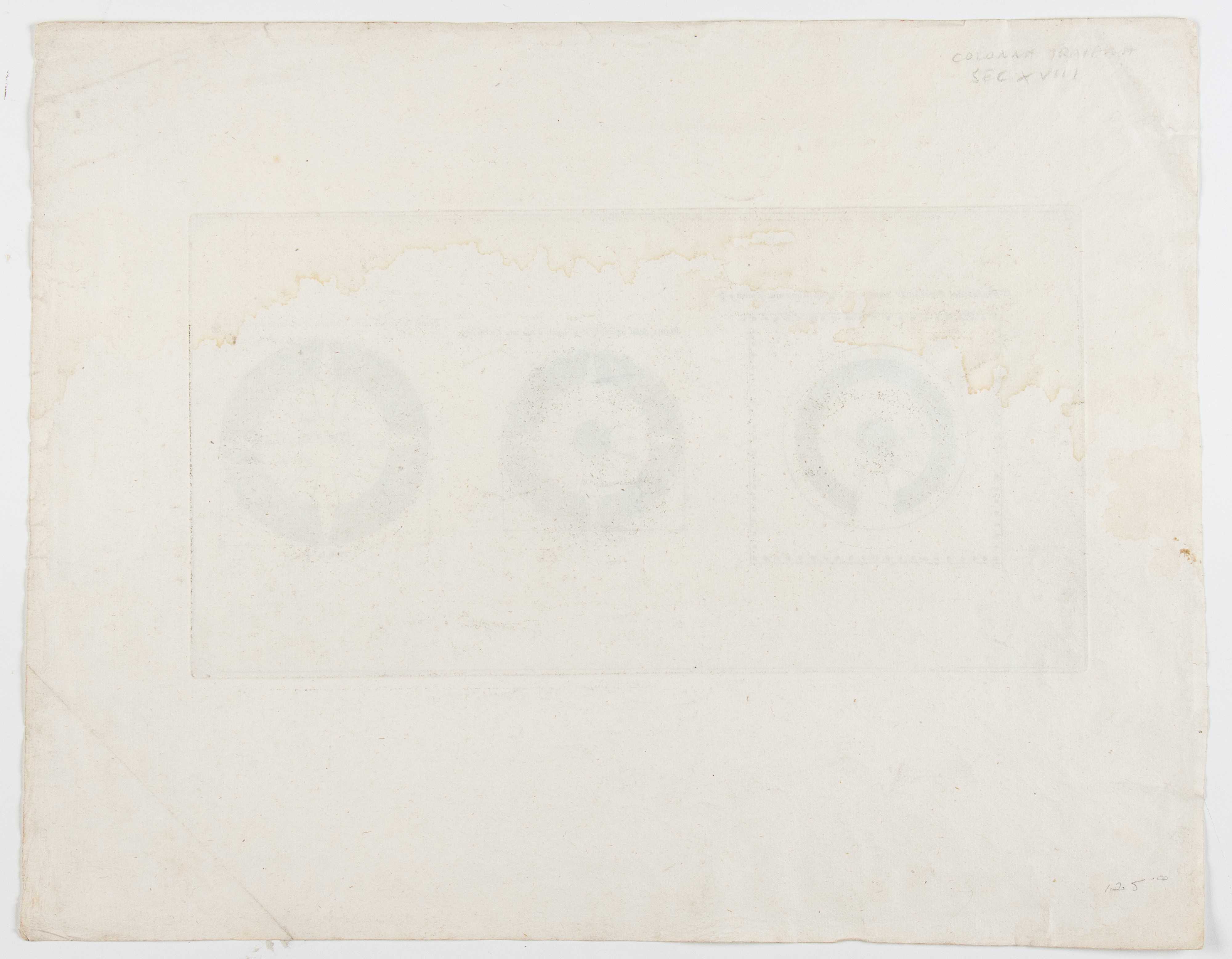 Sezione trasversale di colonna