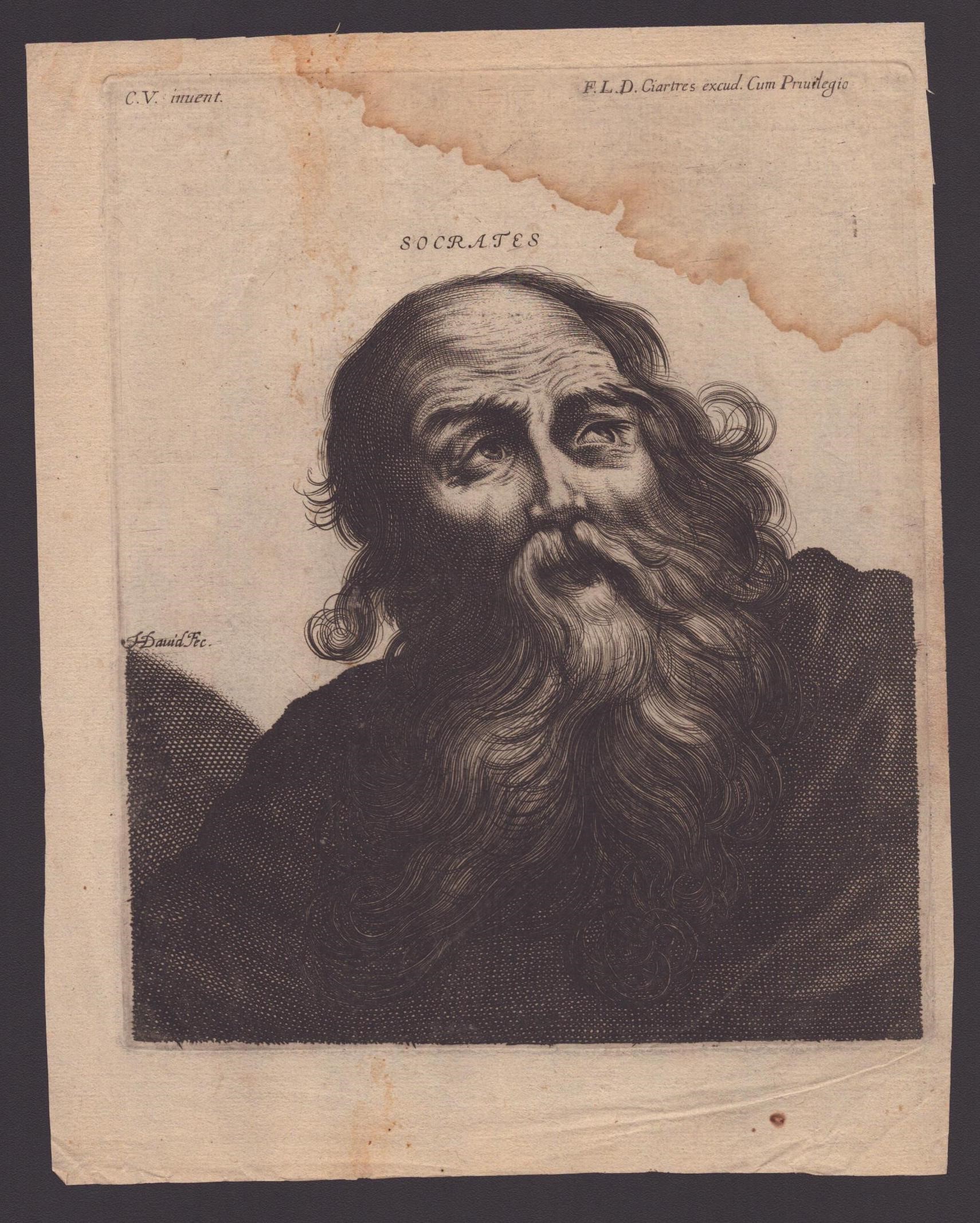 Lotto di 50 Ritratti