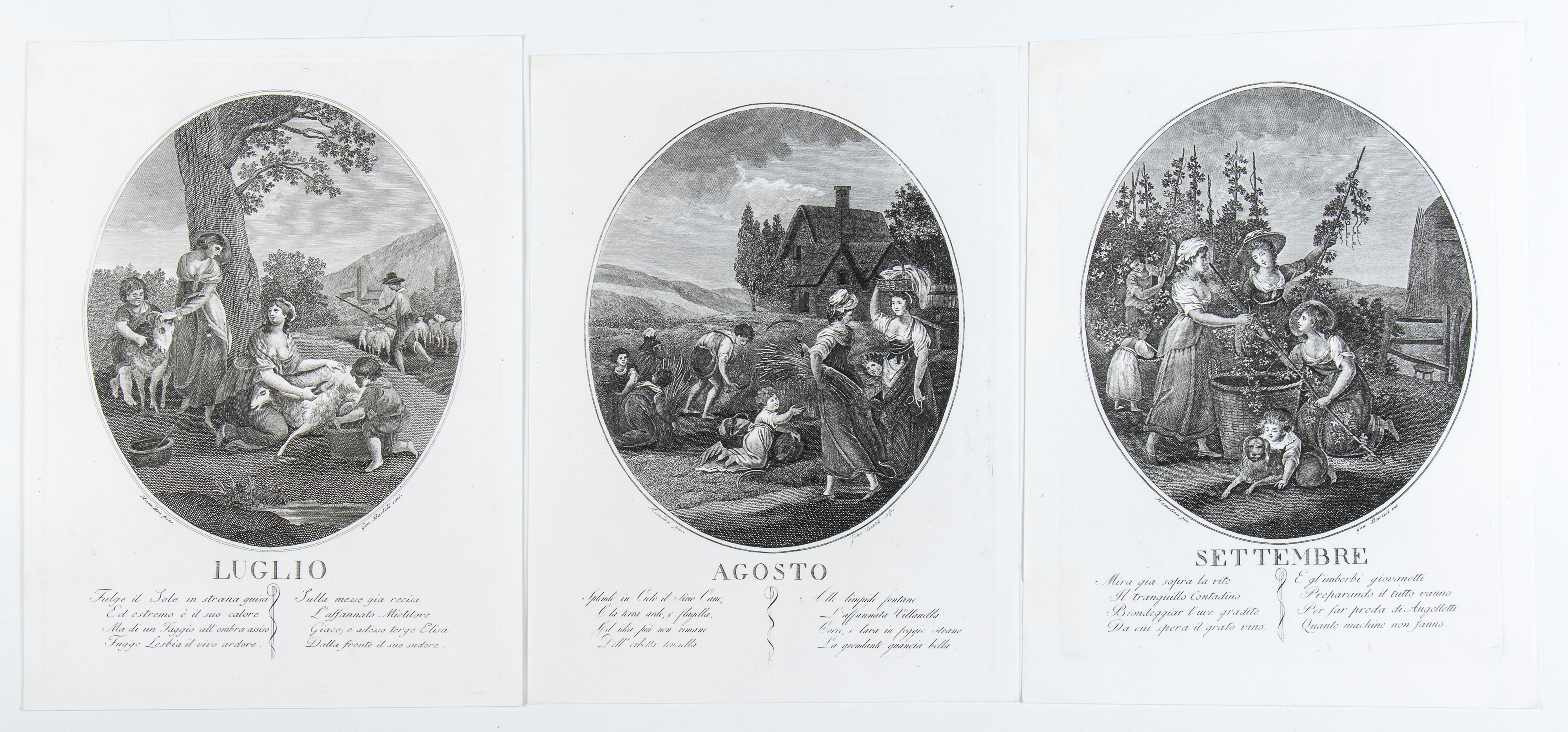 William Hamilton - Dodici Mesi