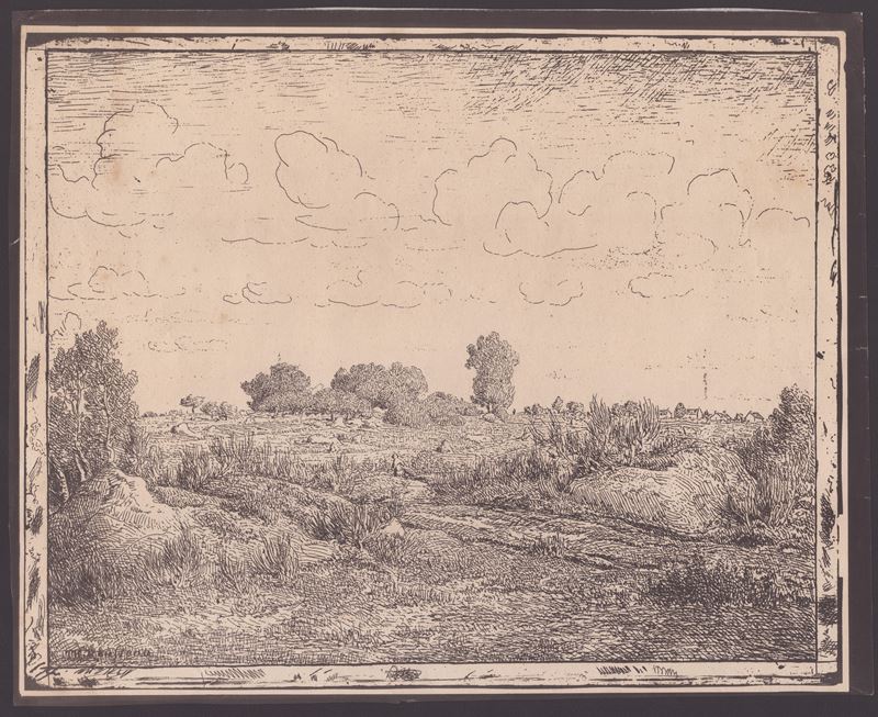 Pierre-etienne-théodore Rousseau - Le Plaine De la Plante a Biau