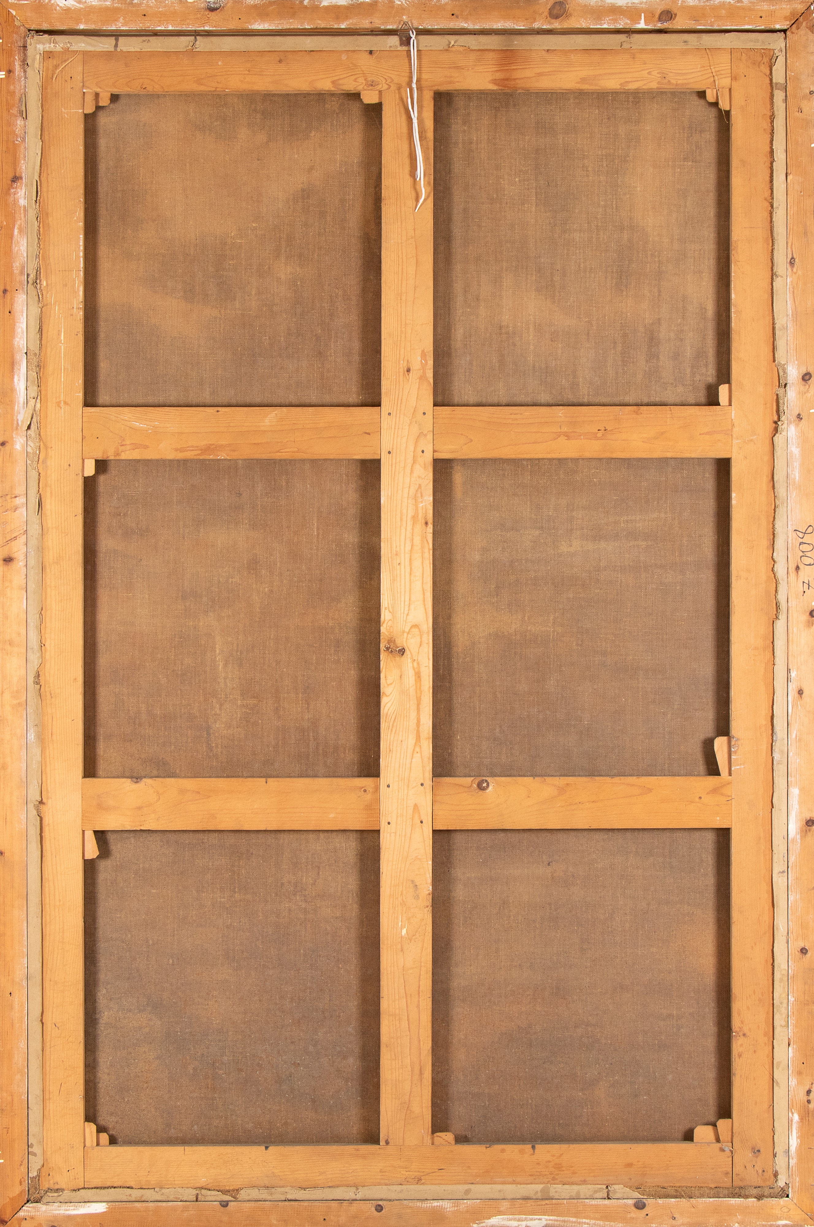 Ritratto femminile in abito elegante