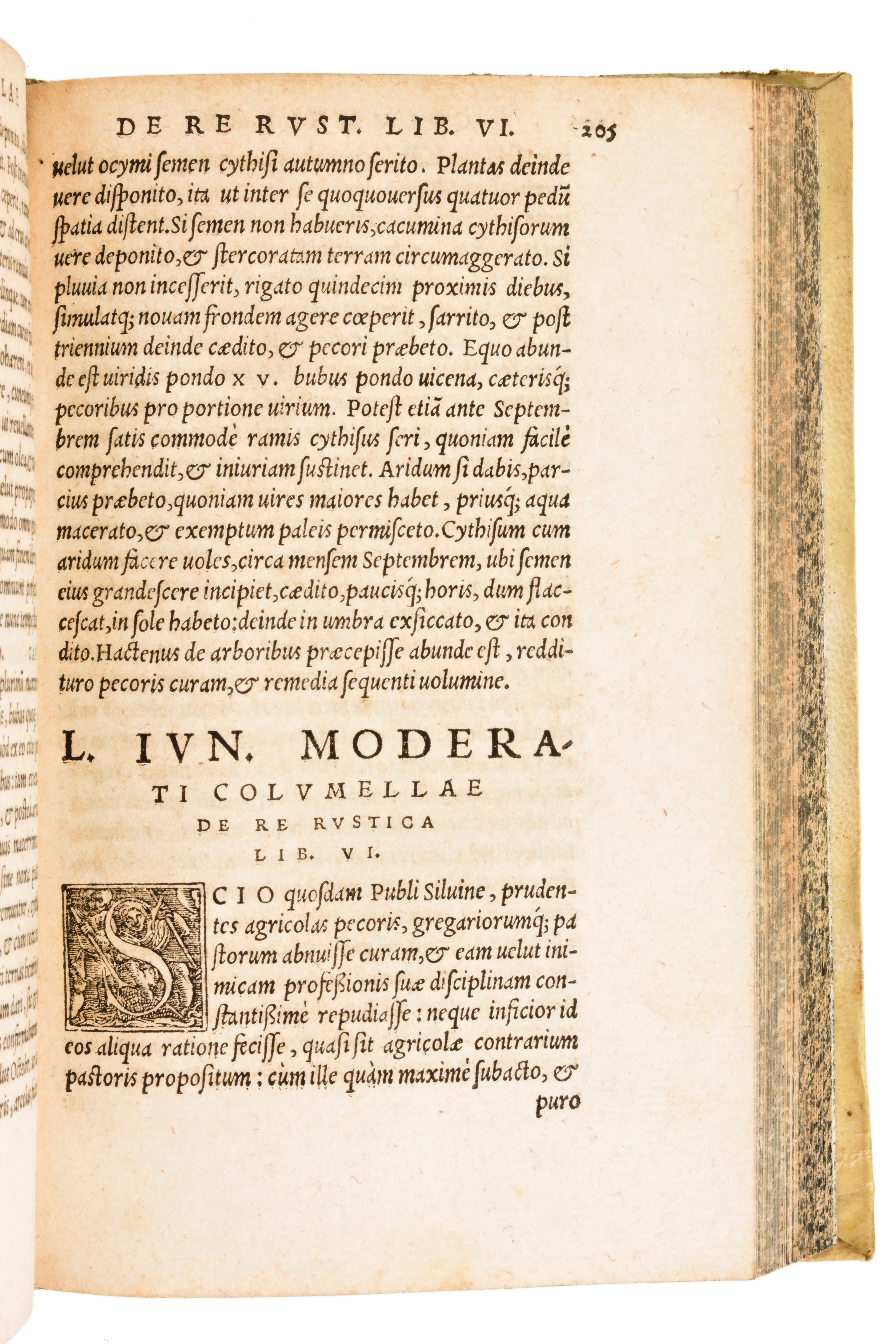 [Arboricoltura/Agraria] Columella, Lucius Iunius Moderatus : De re rustica libri XII. Eiusdem de ...