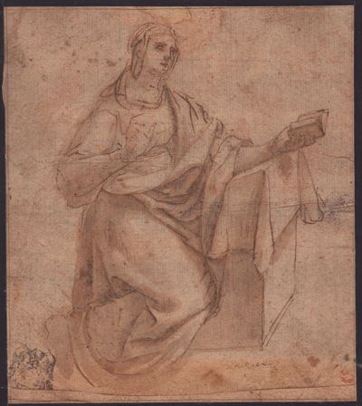 Studio per una Santa