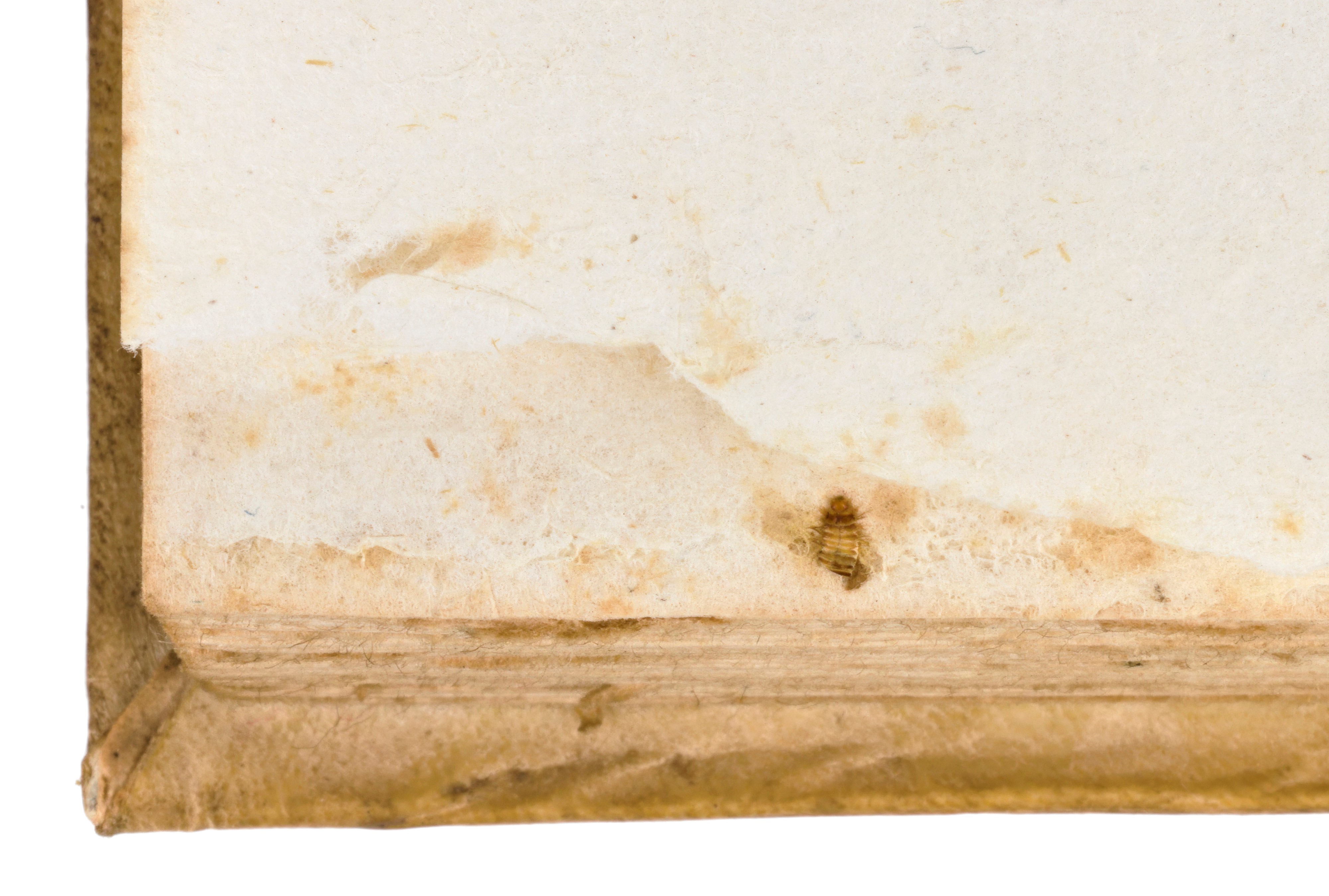 [Medicina/Farmacopea] Murray, Johan Anders : Apparatus medicaminum tam simplicium. Prima edizione...