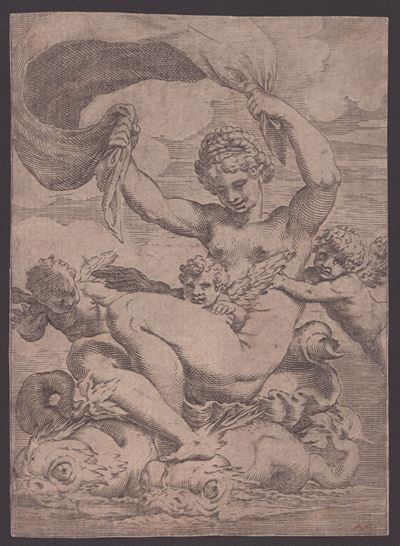 Venere o Galatea