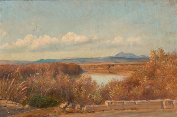 NAPOLEONE PARISANI - Ansa del Tevere